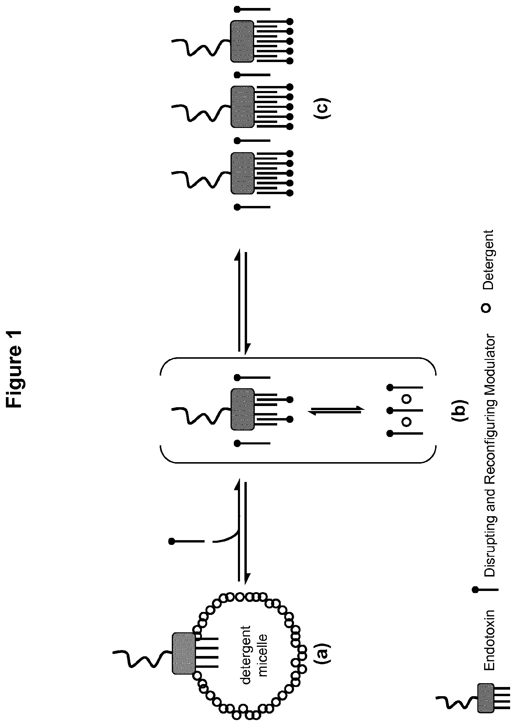 Patent US12099054 — Unmasking endotoxins in solution — Figure 1
