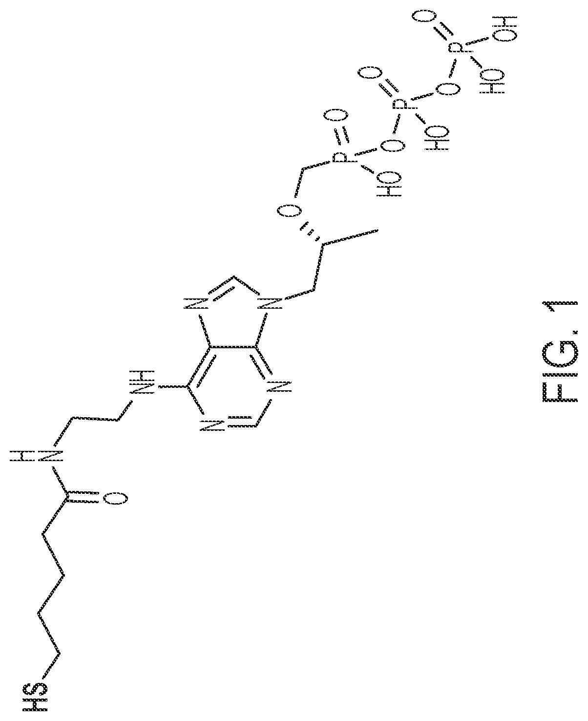 Patent US12099056 — Reagents, methods, and systems for detecting therapeutic agents to monitor adherence to nucleoside reverse transcriptase inhibitor metabolites — Figure 1