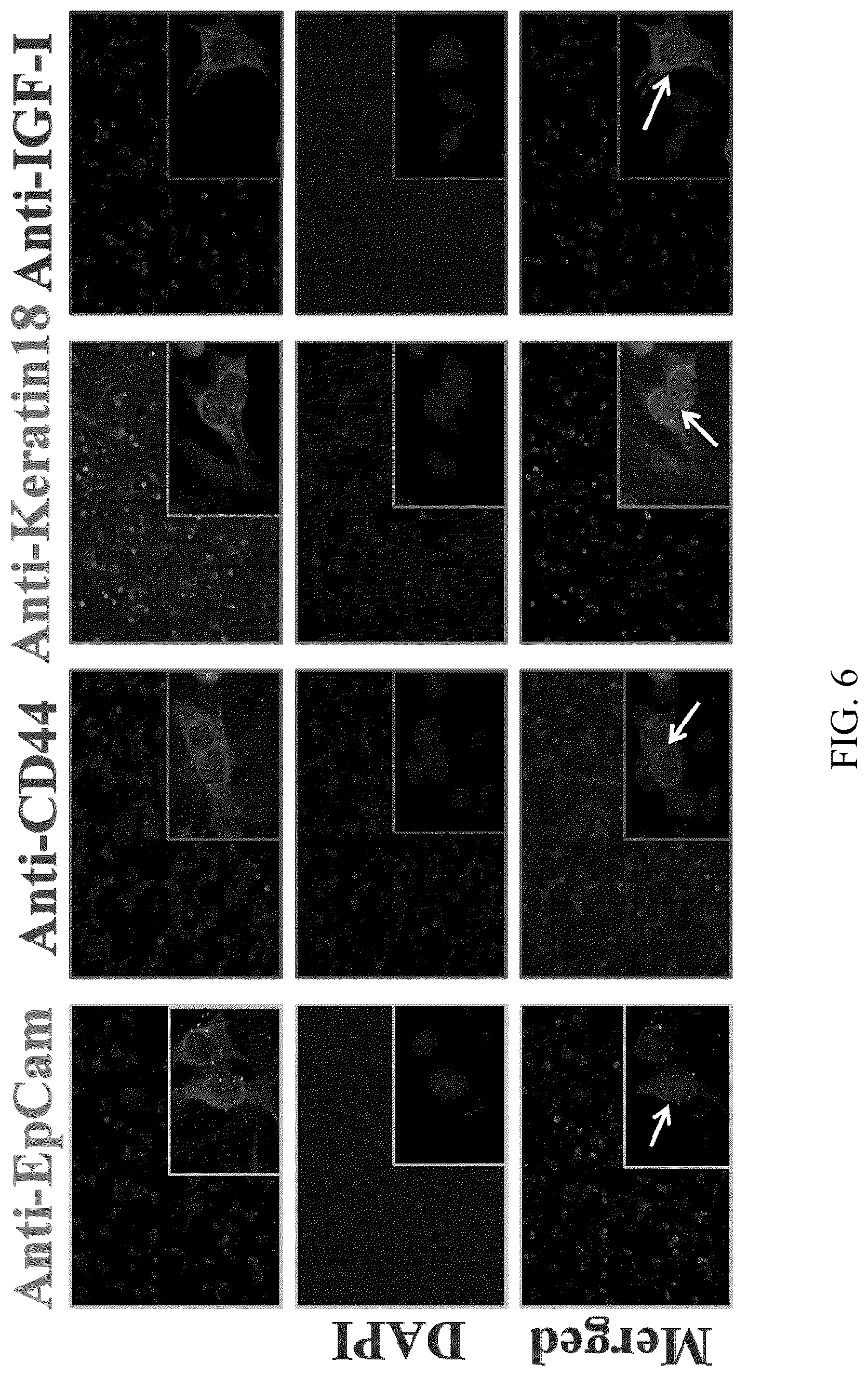 Patent US12099059 Figure 7 – Nanocomposites, methods of making same, and applications of same for multicolor surface enhanced Raman spectroscopy (SERS) detections