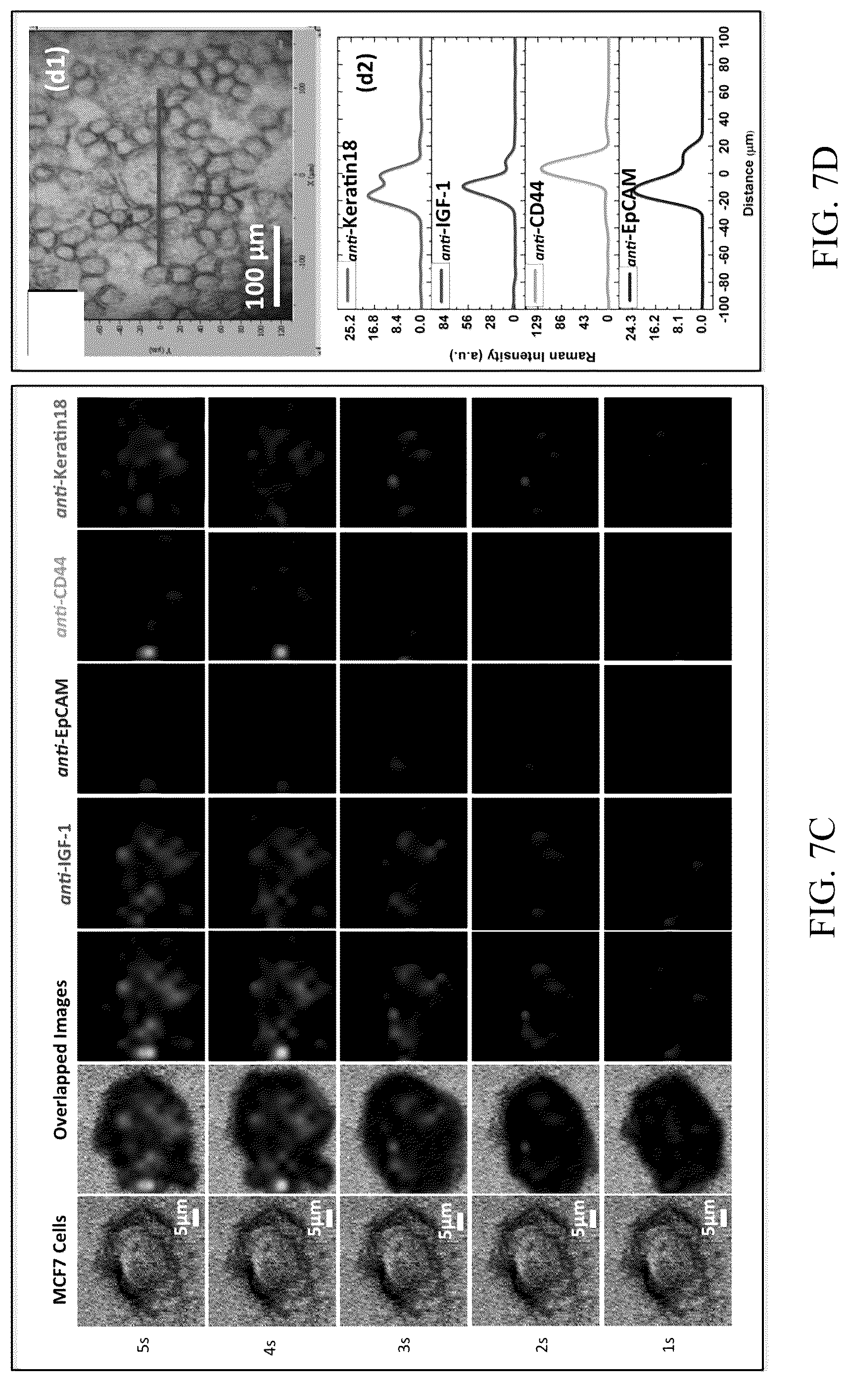 Patent US12099059 Figure 9 – Nanocomposites, methods of making same, and applications of same for multicolor surface enhanced Raman spectroscopy (SERS) detections