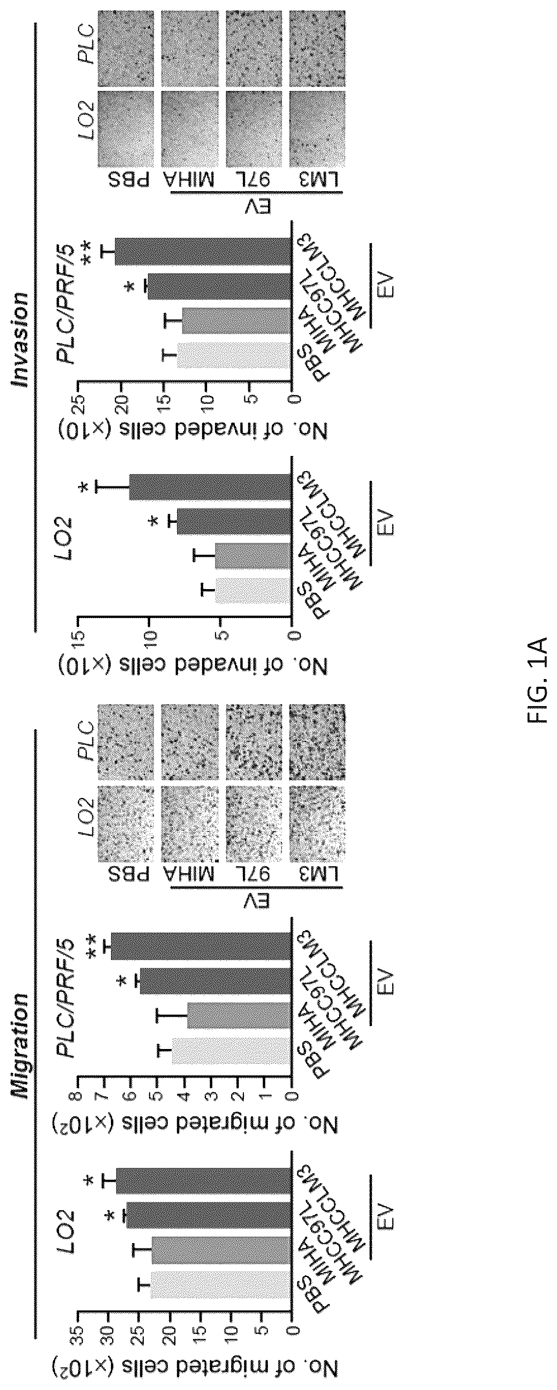 Patent US12099061 — Nidogen 1 as a diagnostic marker and therapeutic target of hepatocellular carcinoma, composition and methods thereof — Figure 1
