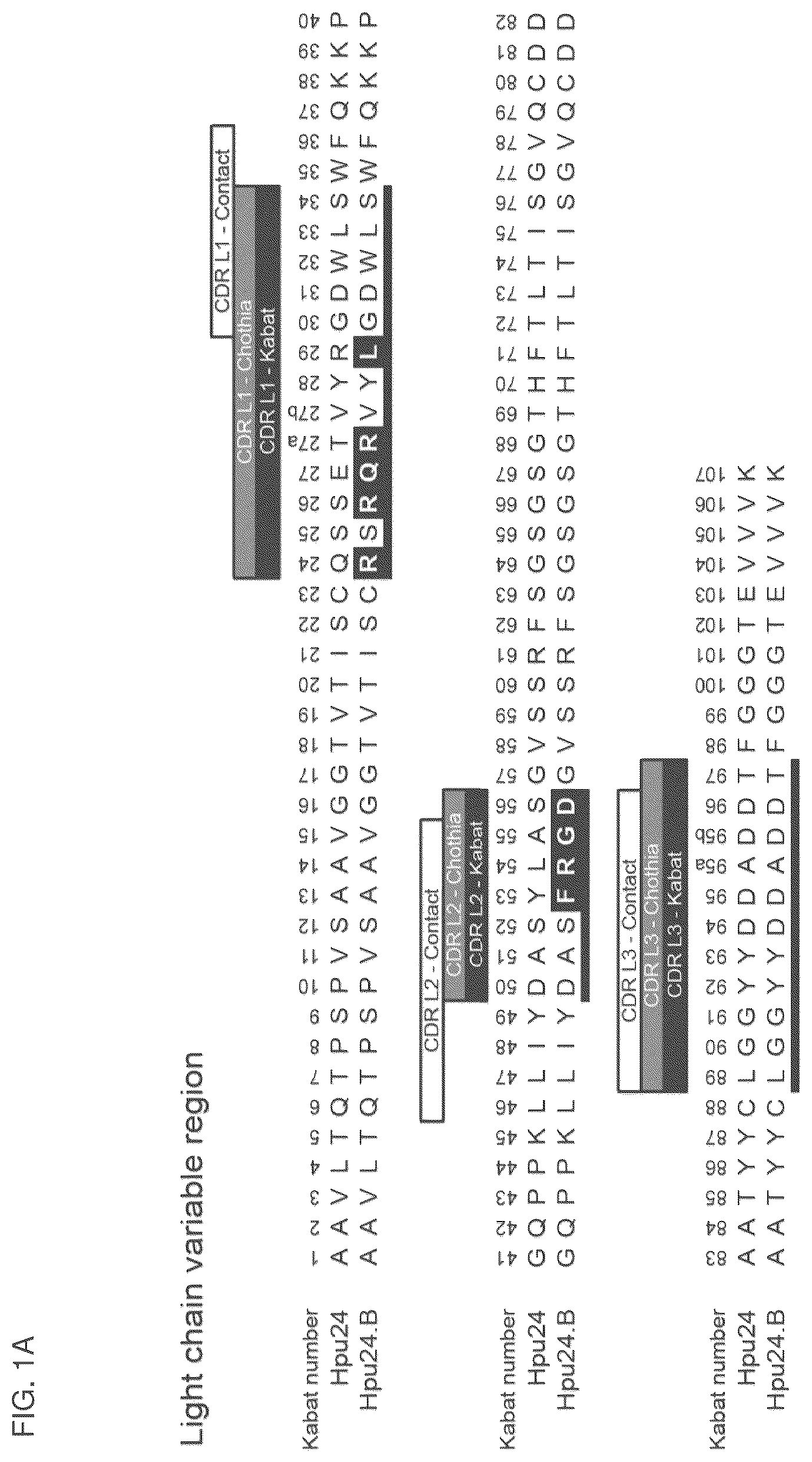 Patent US12099064 — Anti-hypusine antibodies and uses thereof — Figure 1