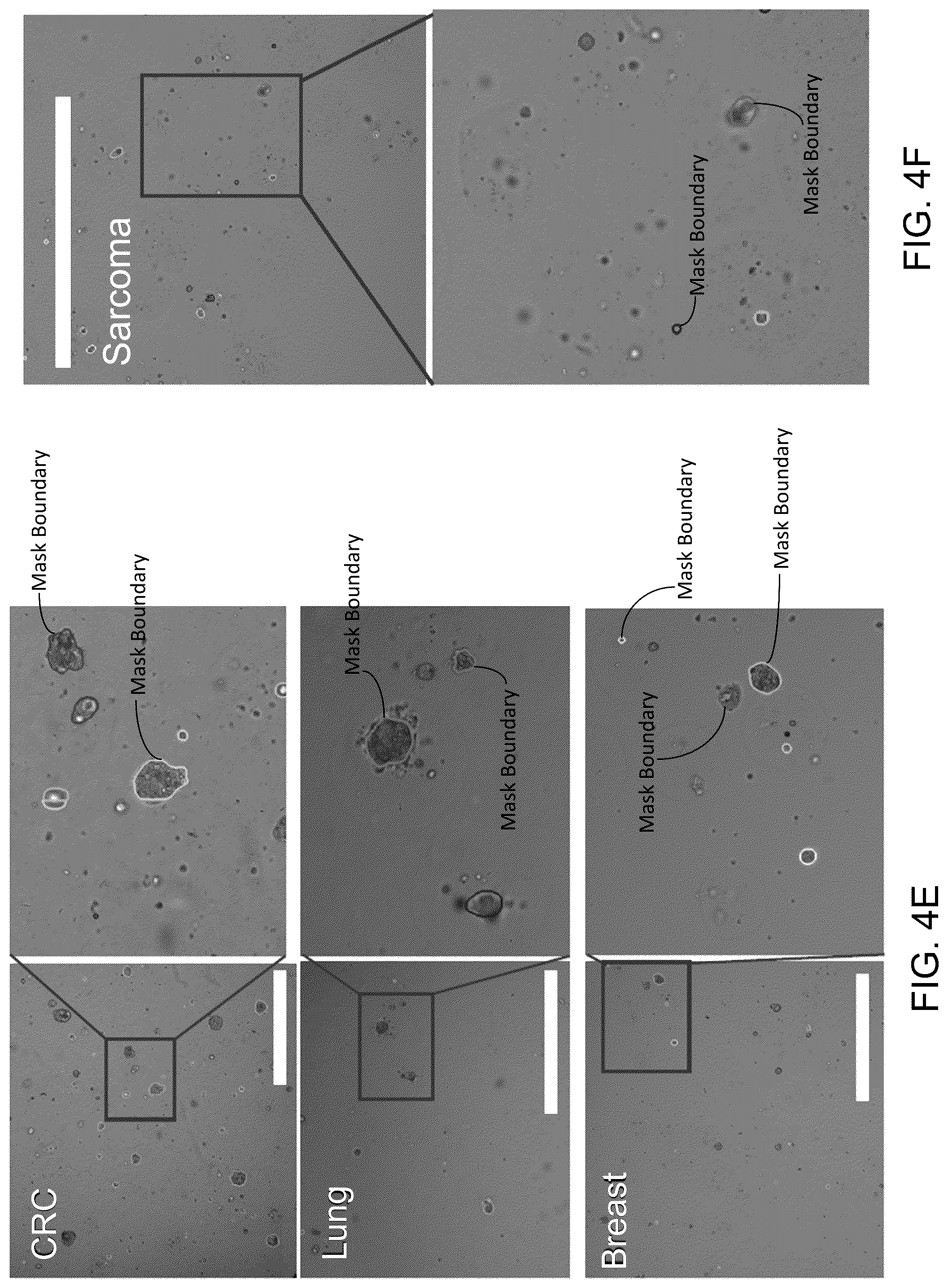 Patent US12100150 Figure 6 – Droplet imaging pipeline