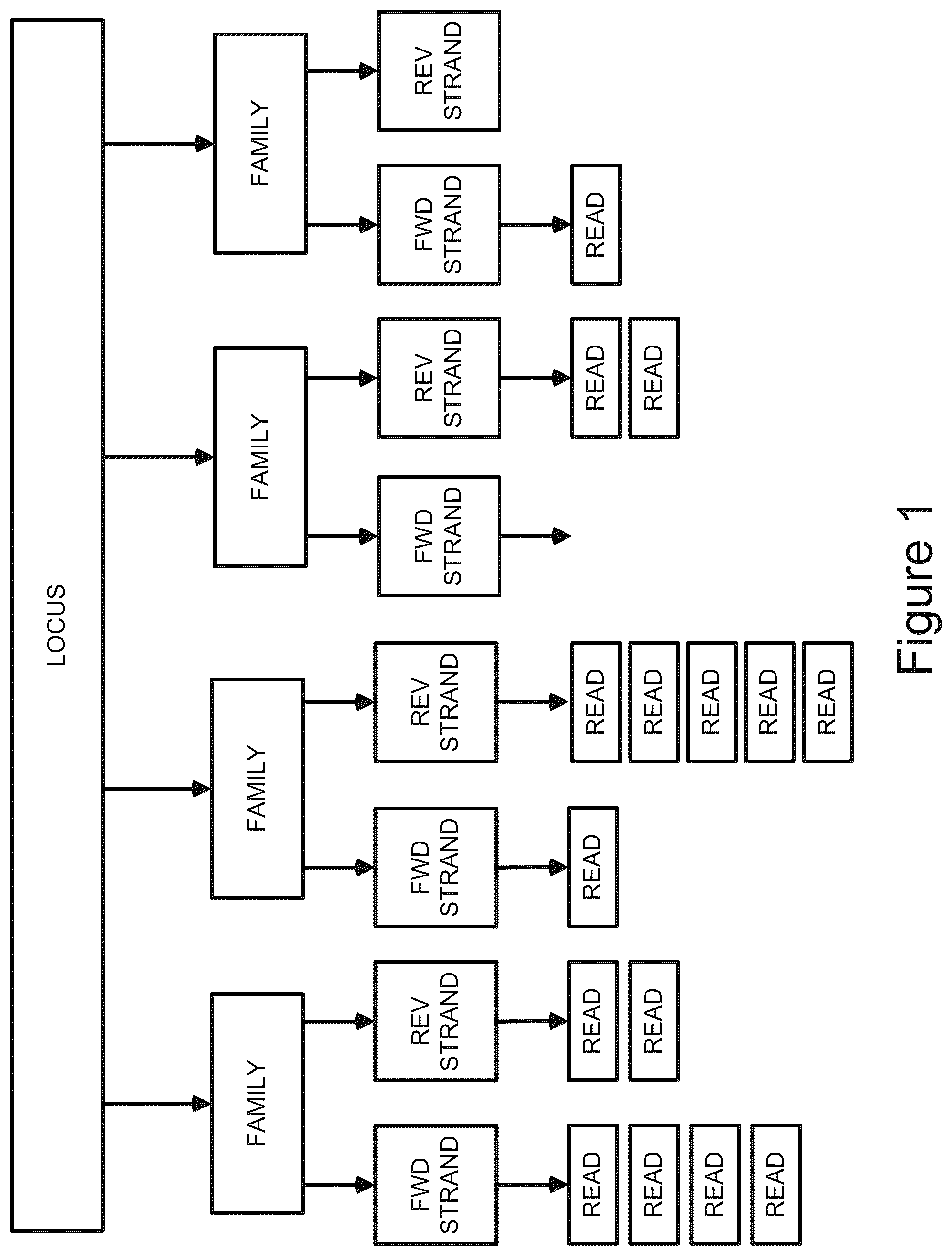 Patent US12100482 — Methods for multi-resolution analysis of cell-free nucleic acids — Figure 1