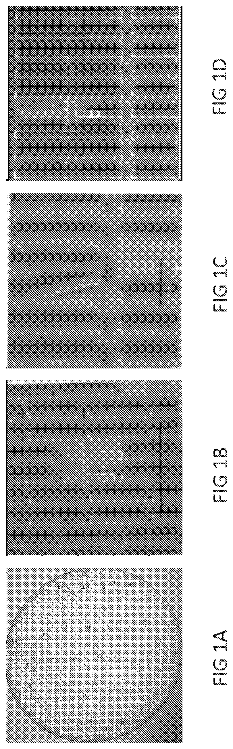 Patent US12100586 — Substrate cleaning method and apparatus — Figure 1