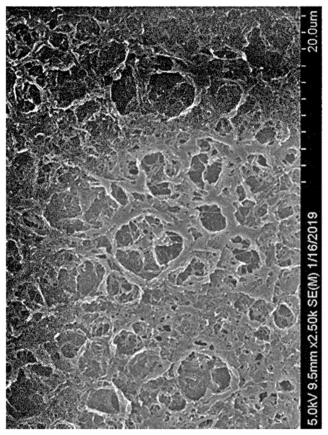 Patent US12100860 — Separator for electrochemical device and an electrochemical device comprising the same — Figure 1