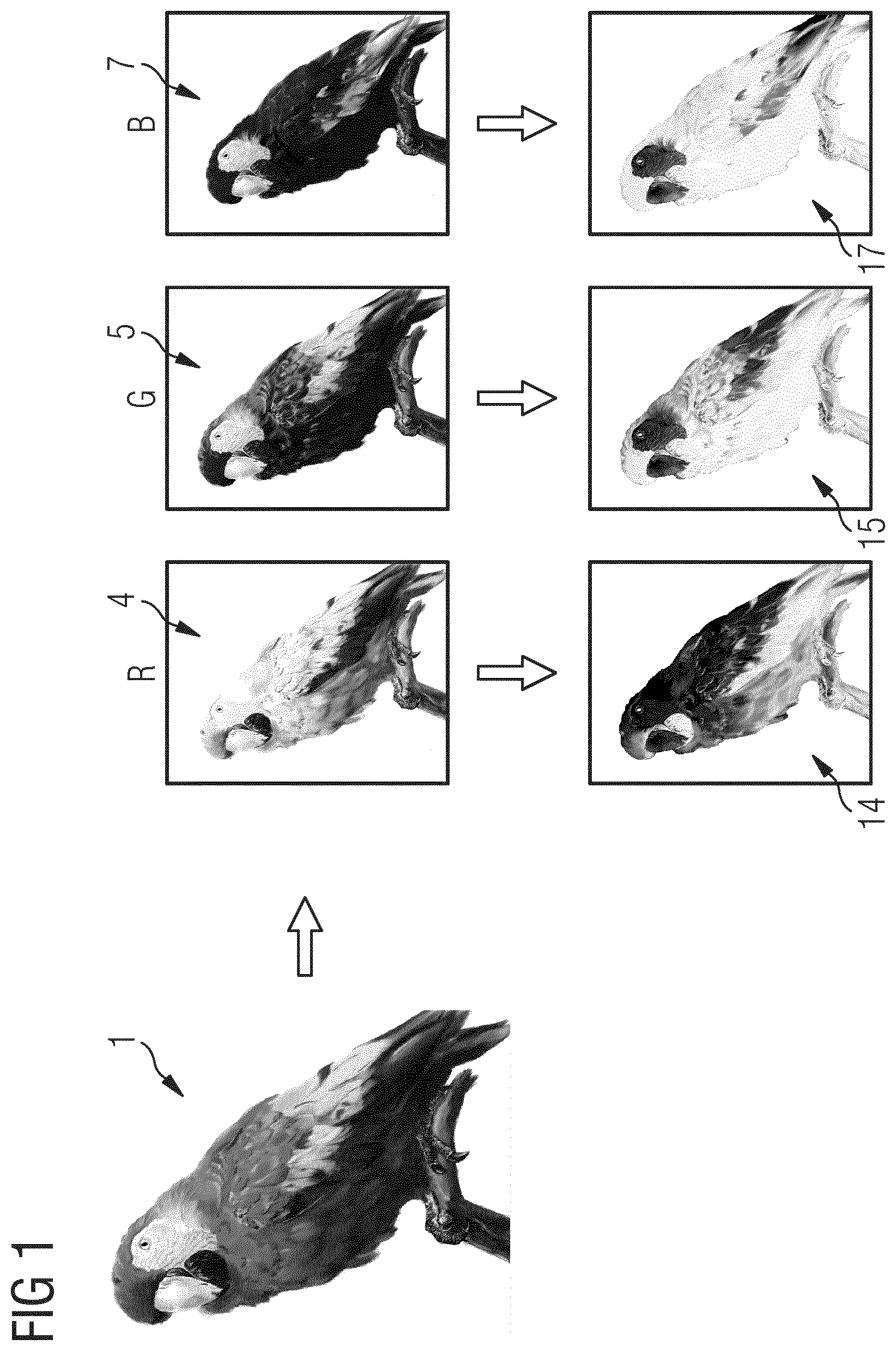 Patent US12101450 — Method of generating a secure image — Figure 1