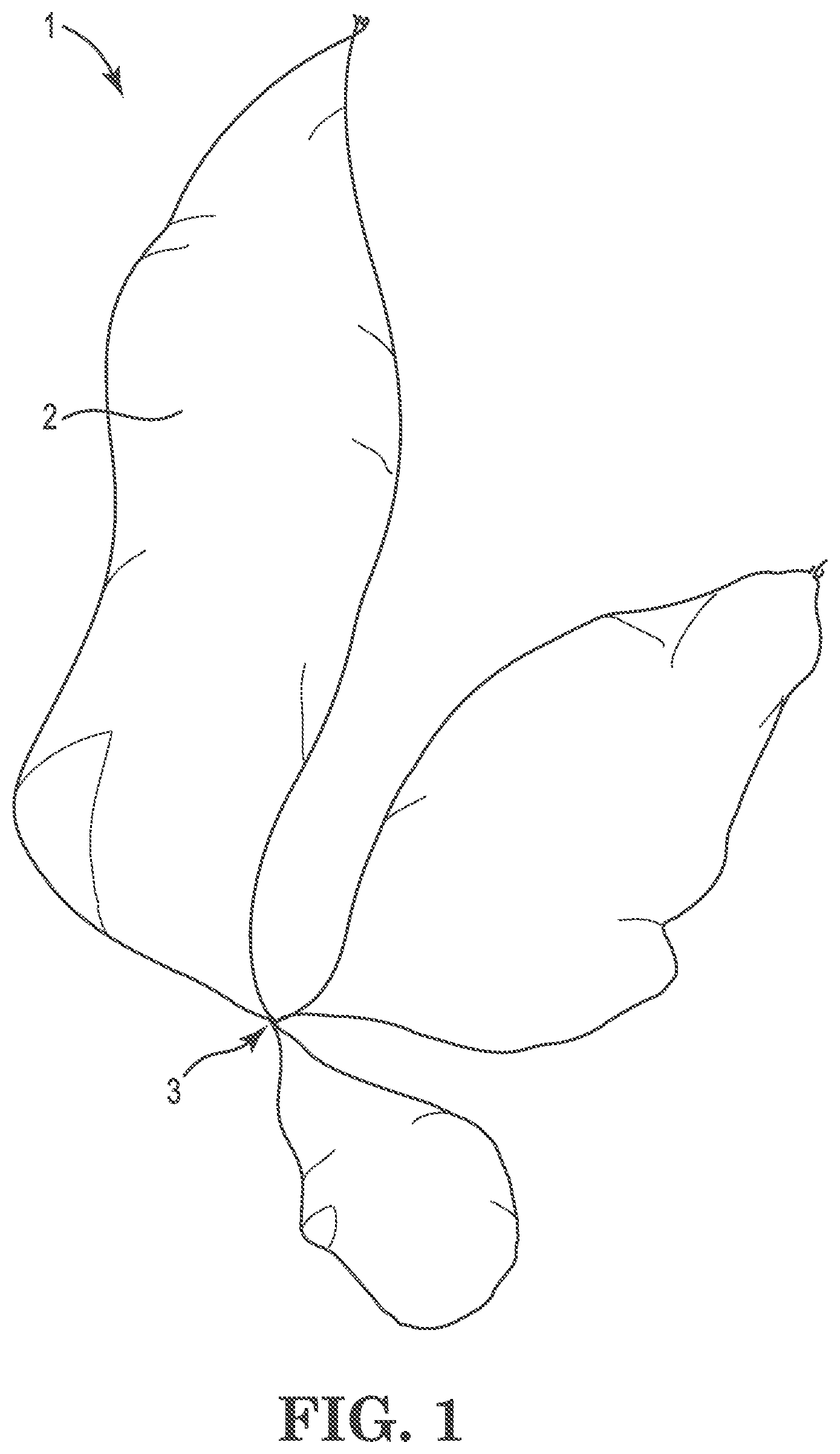 Patent US12102046 — Seaweed cultivation method and system — Figure 1