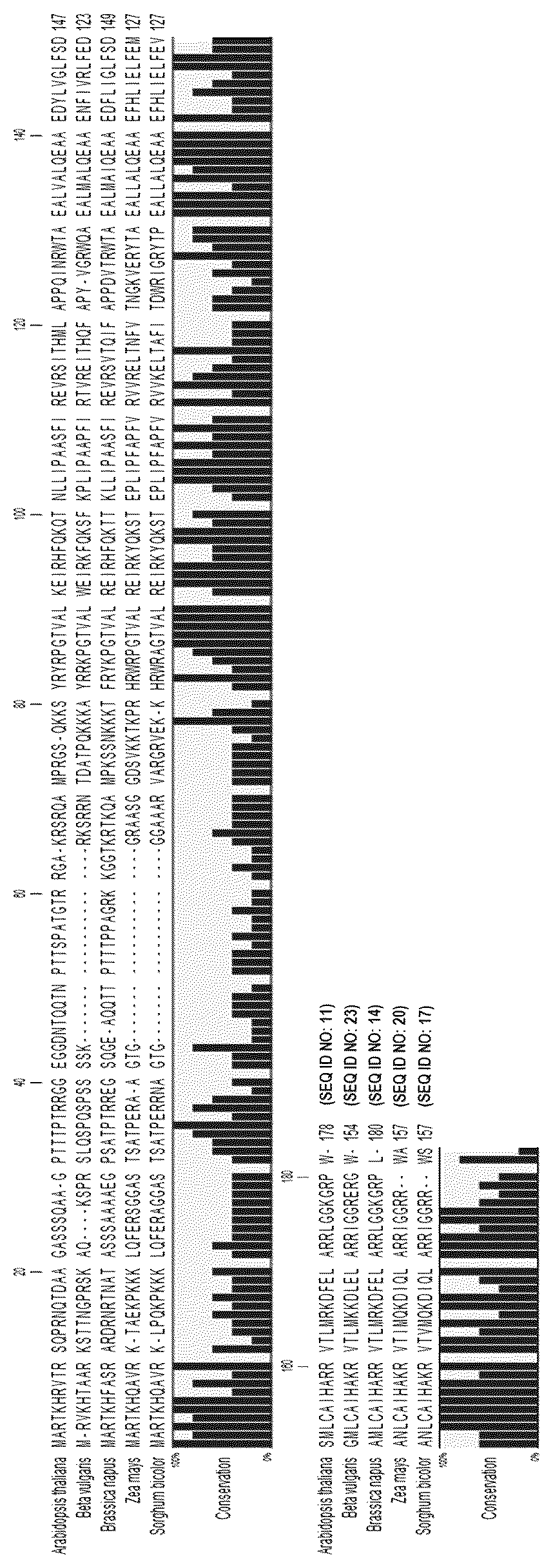 Patent US12102048 — Generation of haploid plants — Figure 1