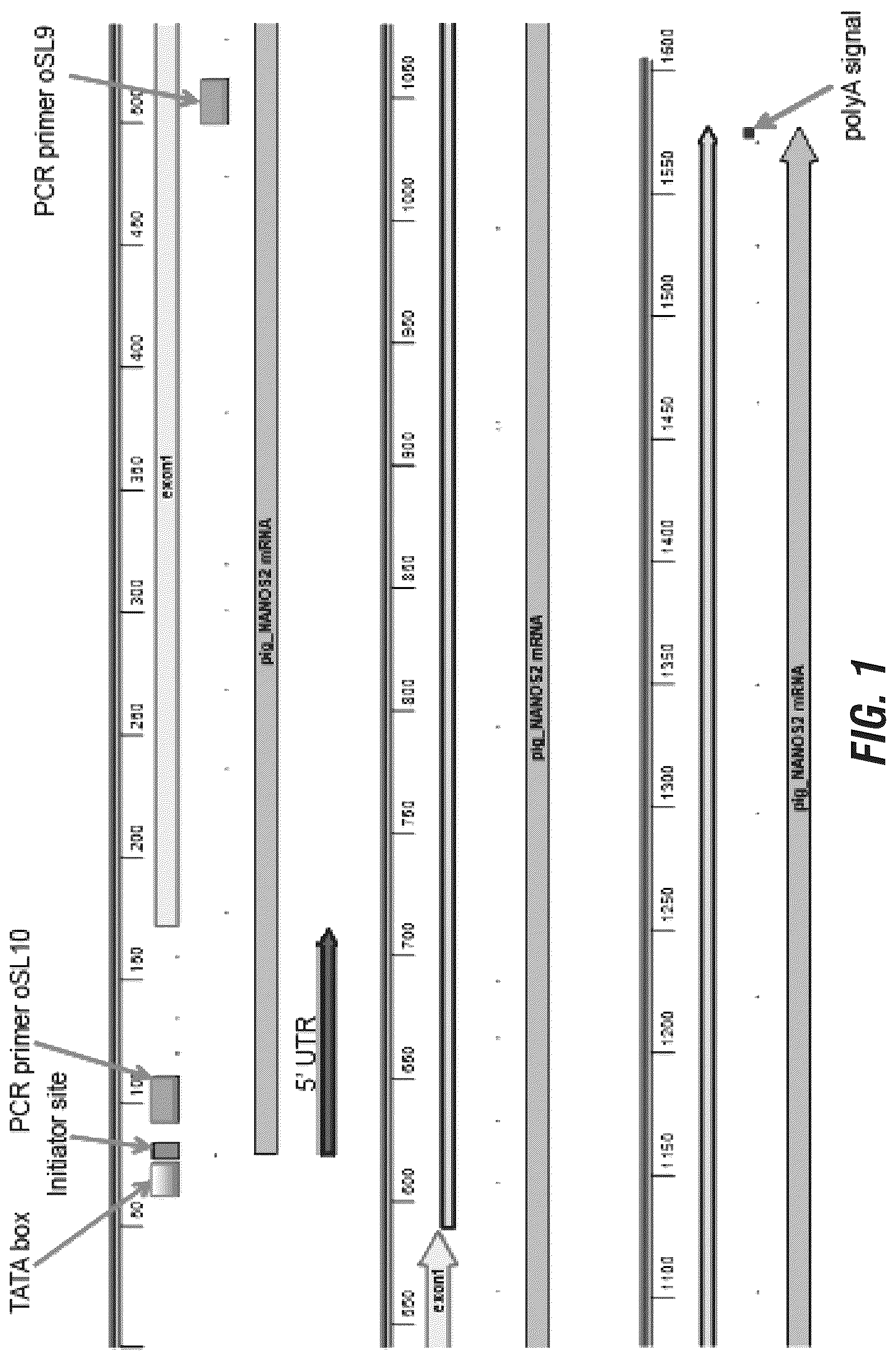 Patent US12102069 — — Figure 1