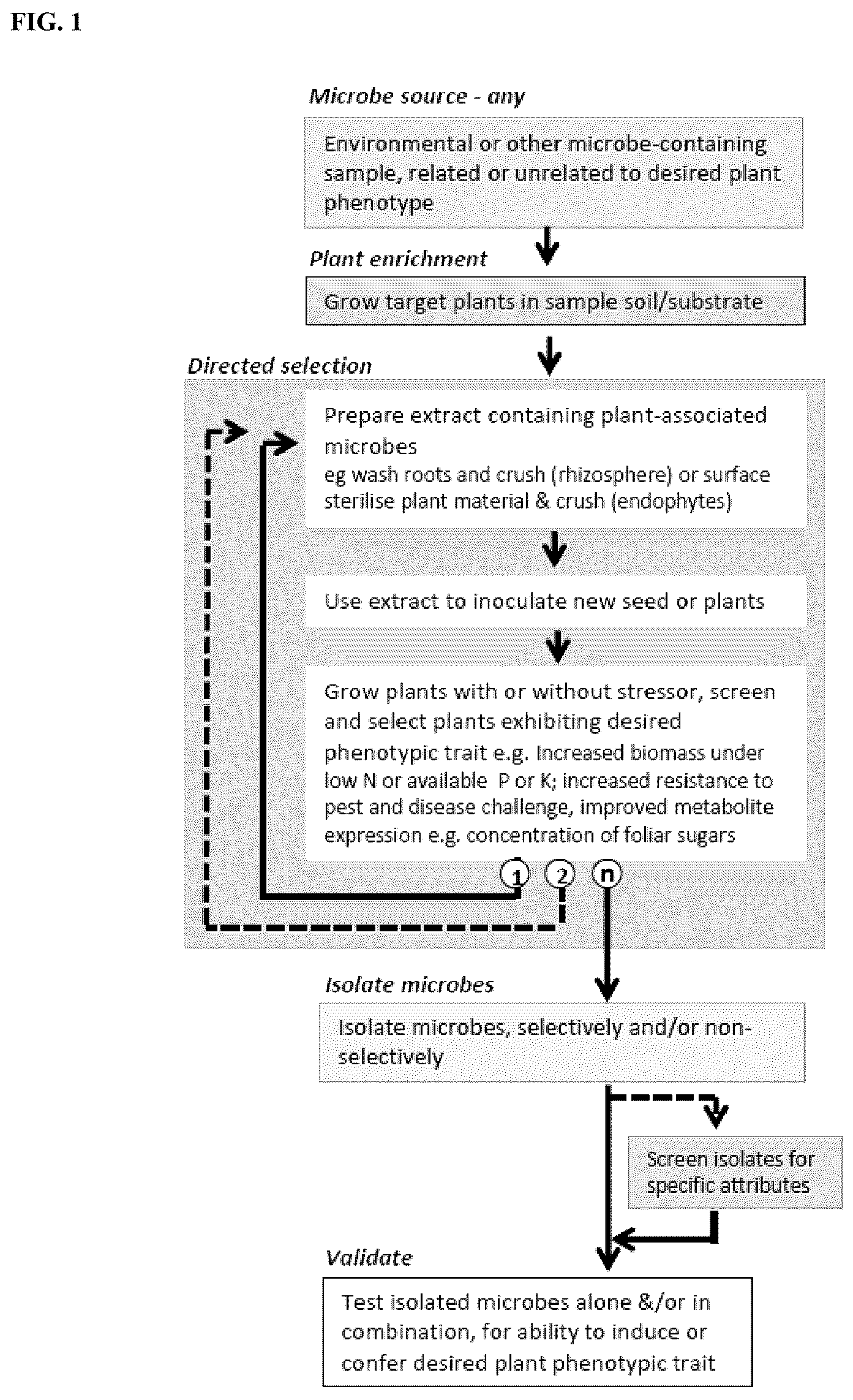Patent US12102090 — Agriculturally beneficial microbes, microbial compositions, and consortia — Figure 1