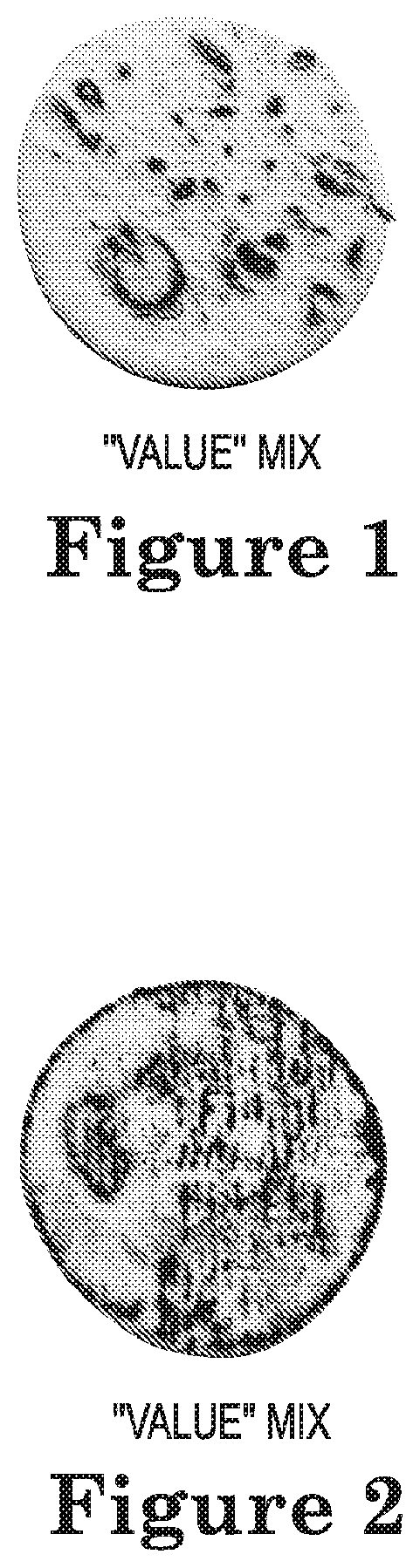 Patent US12102093 — Flavored flatbread — Figure 1