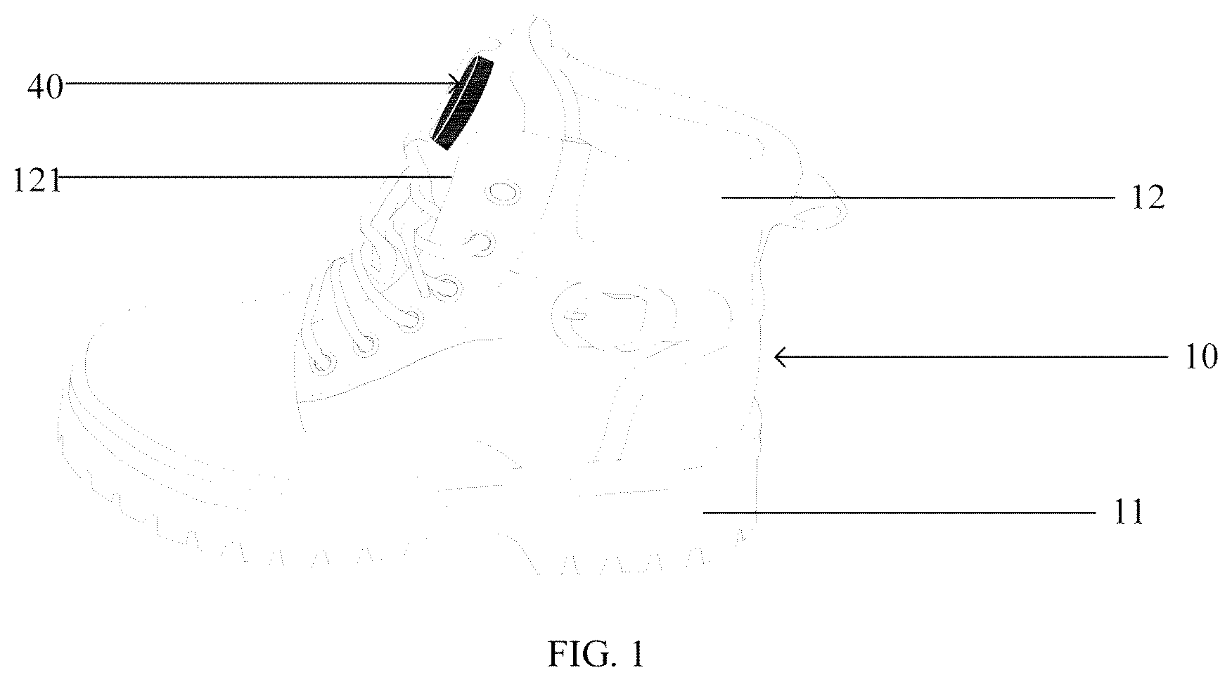 Patent US12102181 — Heating shoe — Figure 1