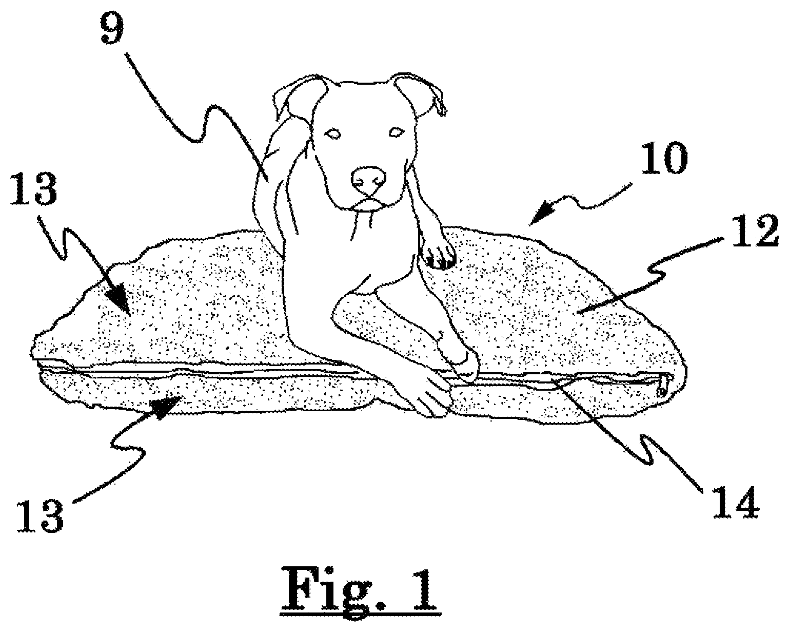 Patent US12102251 — Pet bed — Figure 1