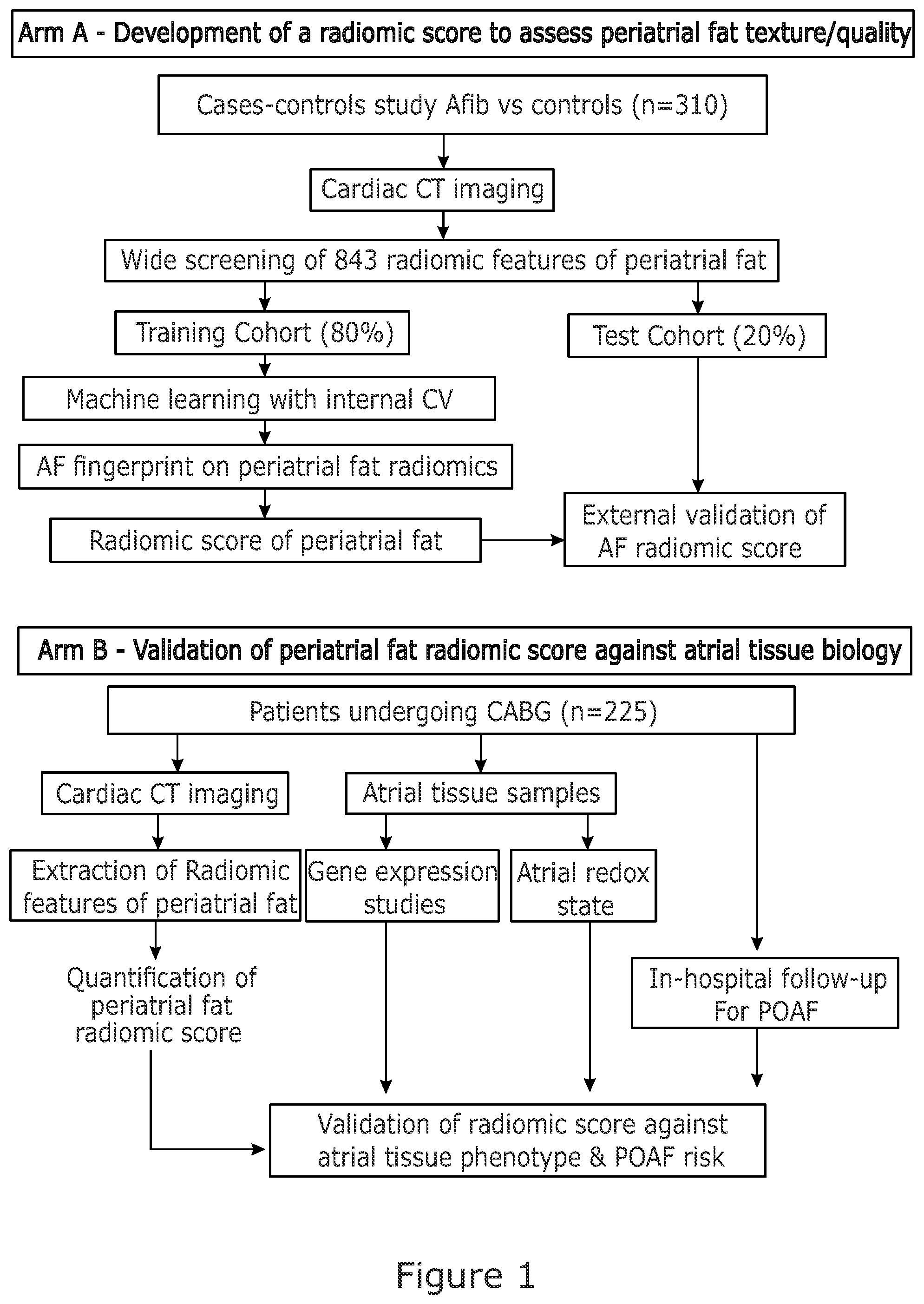 Patent US12102463 — Radiomic signature of an epicardial region — Figure 1