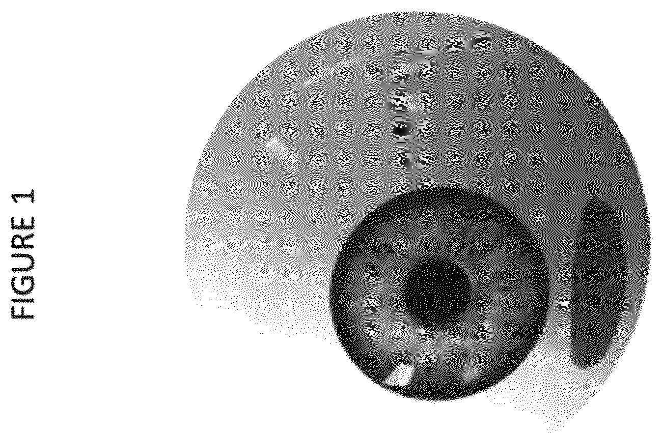 Patent US12102559 — Dissolvable polymeric eye inserts and method of using same — Figure 1