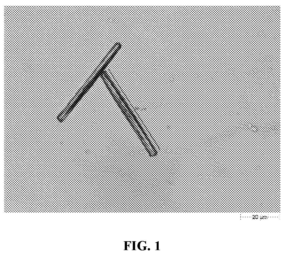 Patent US12102594 — Infusion bag of Midazolam for intravenous use — Figure 1