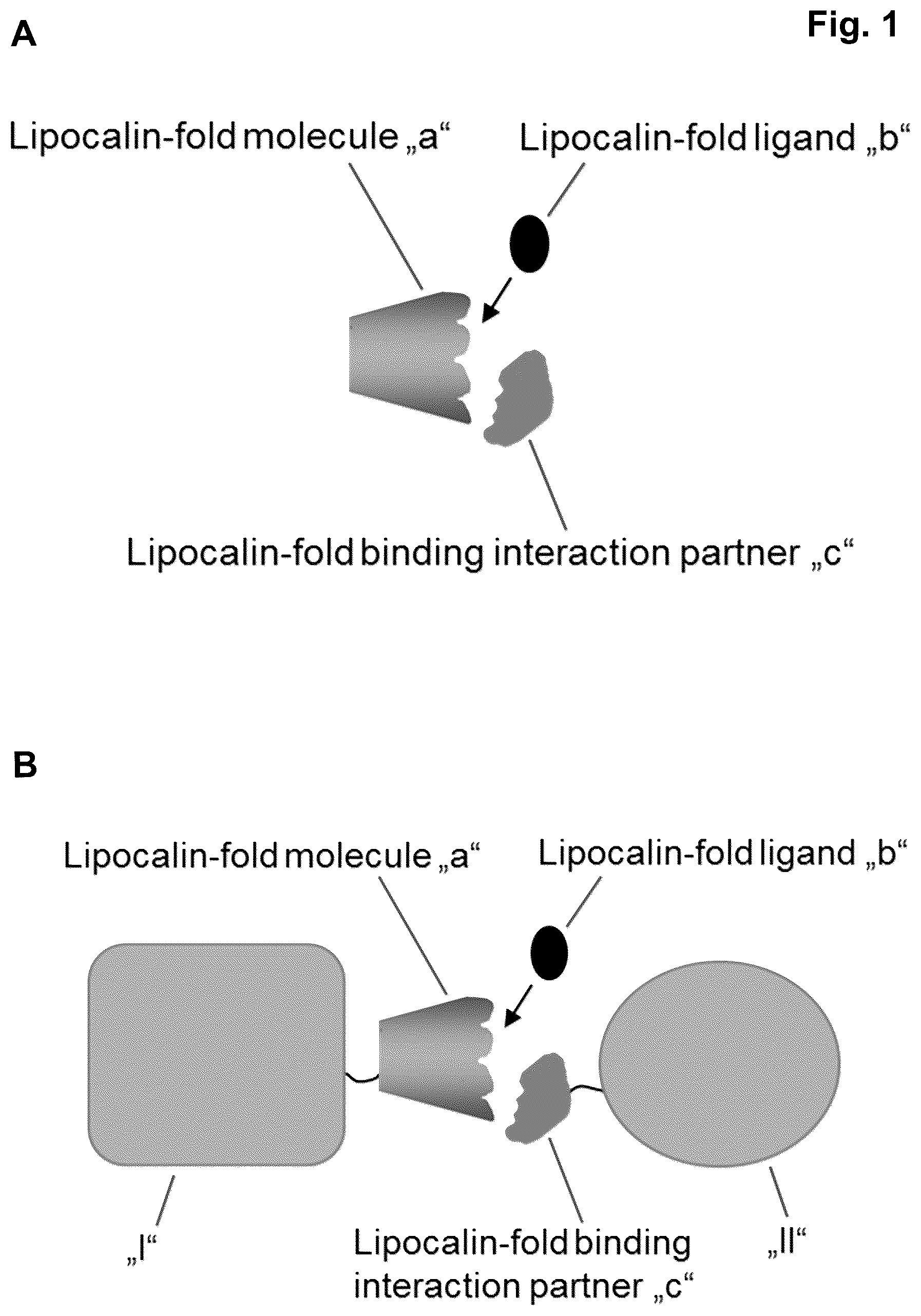 Patent US12102653 — Ligand regulated protein-protein interaction system — Figure 1