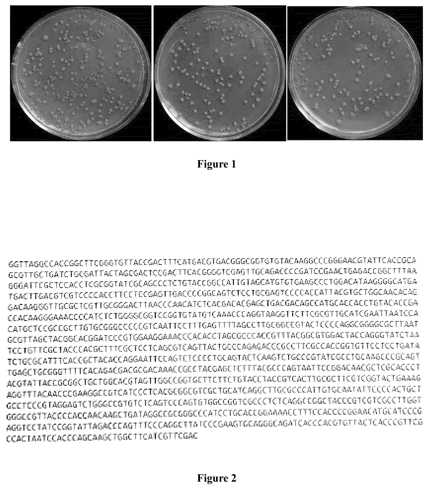 Patent US12102654 Figure 1 – Product derived from Rhodococcus ruber , and pharmaceutical use thereof