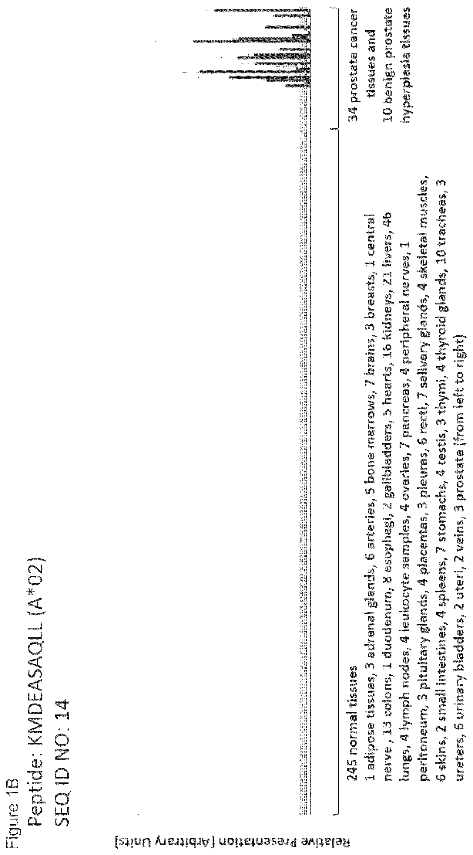 Patent US12102670 Figure 2 – Peptides and combination of peptides for use in immunotherapy against prostate cancer and other cancers