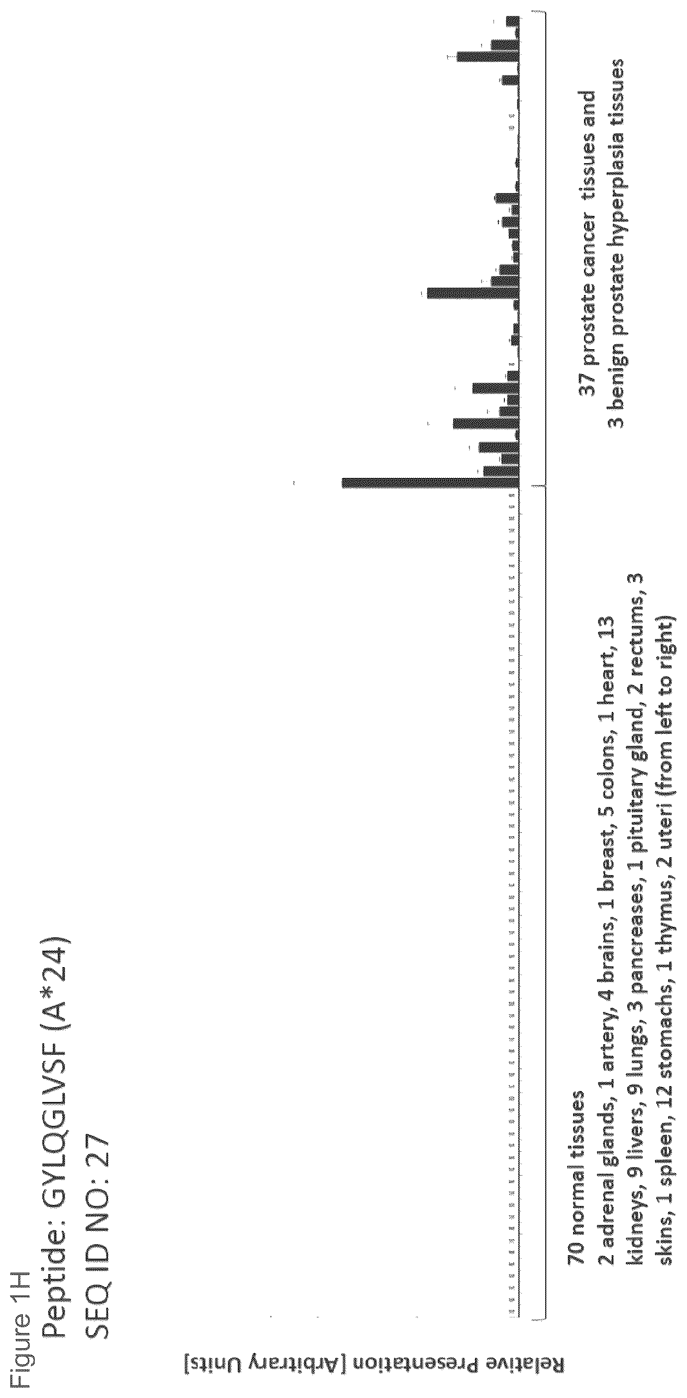 Patent US12102670 Figure 8 – Peptides and combination of peptides for use in immunotherapy against prostate cancer and other cancers