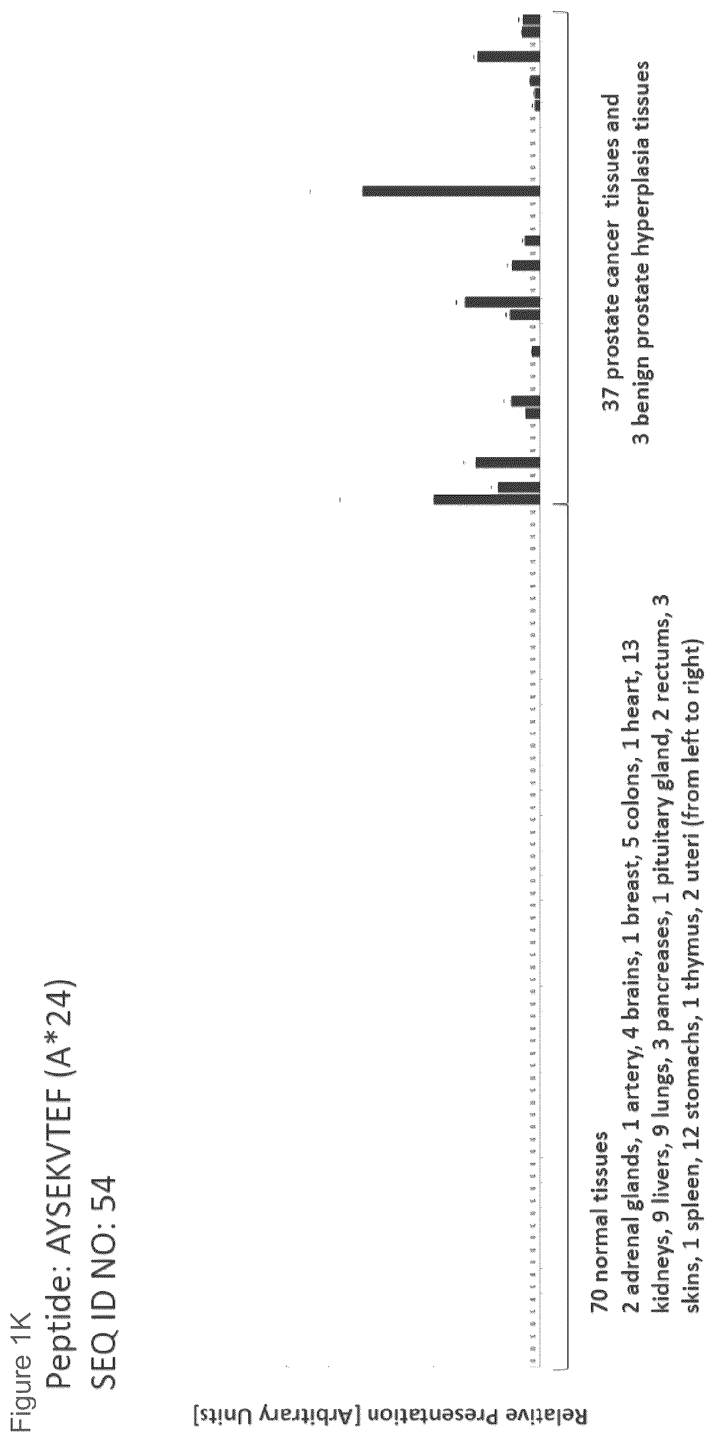 Patent US12102670 Figure 11 – Peptides and combination of peptides for use in immunotherapy against prostate cancer and other cancers