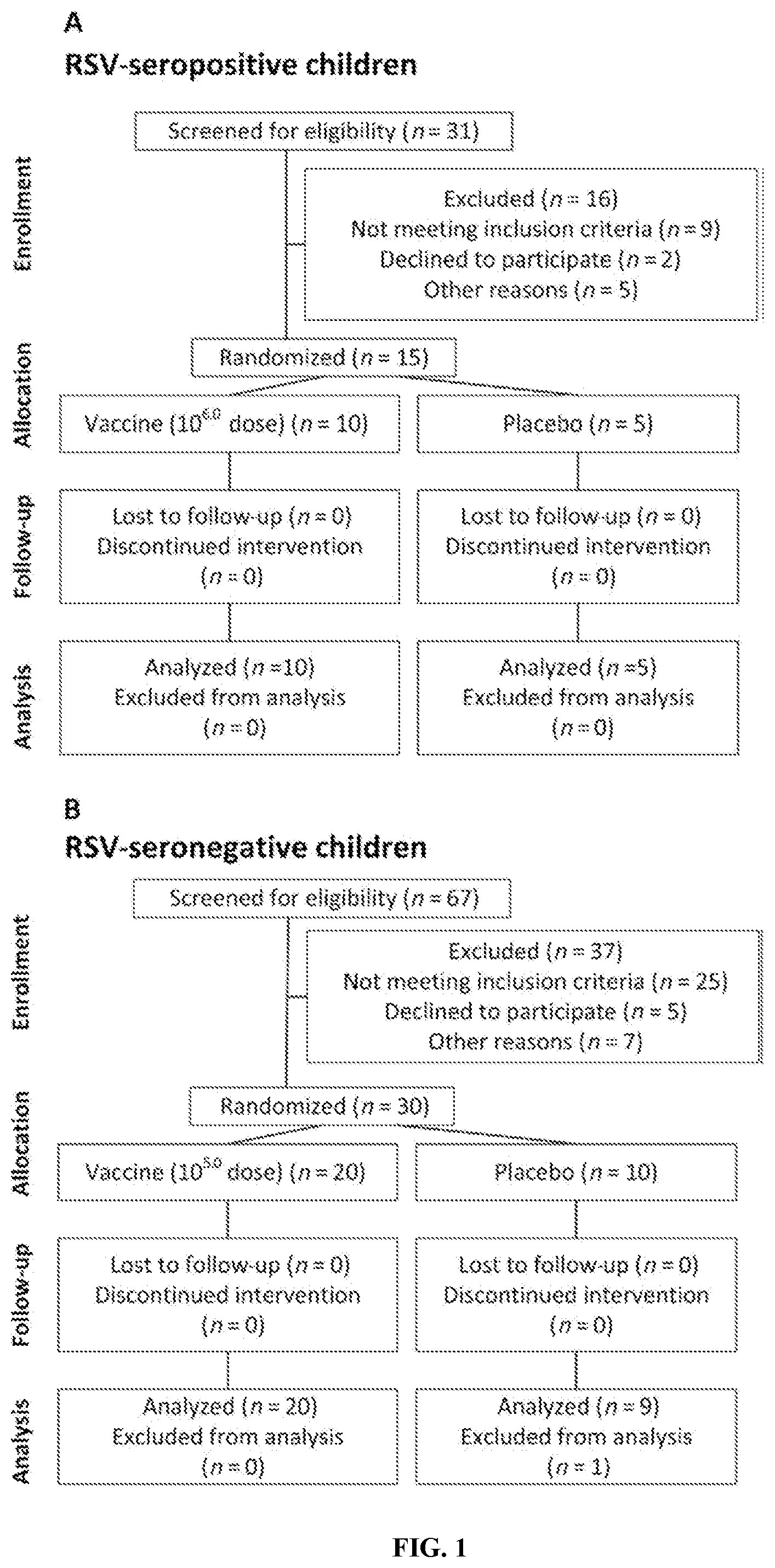 Patent US12102671 — Method of vaccination with an attenuated RSV vaccine formulation — Figure 1