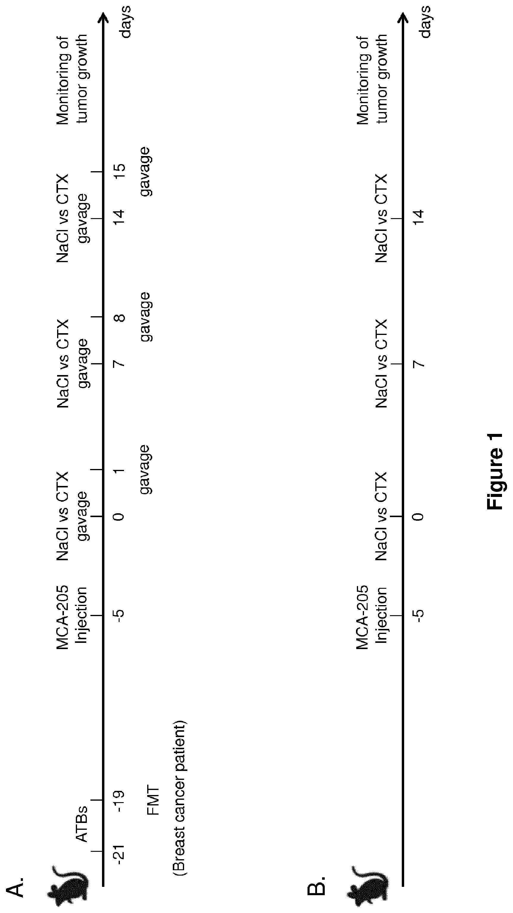 Patent US12102672 — Immunogenic sequences from a phage tail length tape measure protein, bacteria expressing the same and their use in treating a cancer — Figure 1