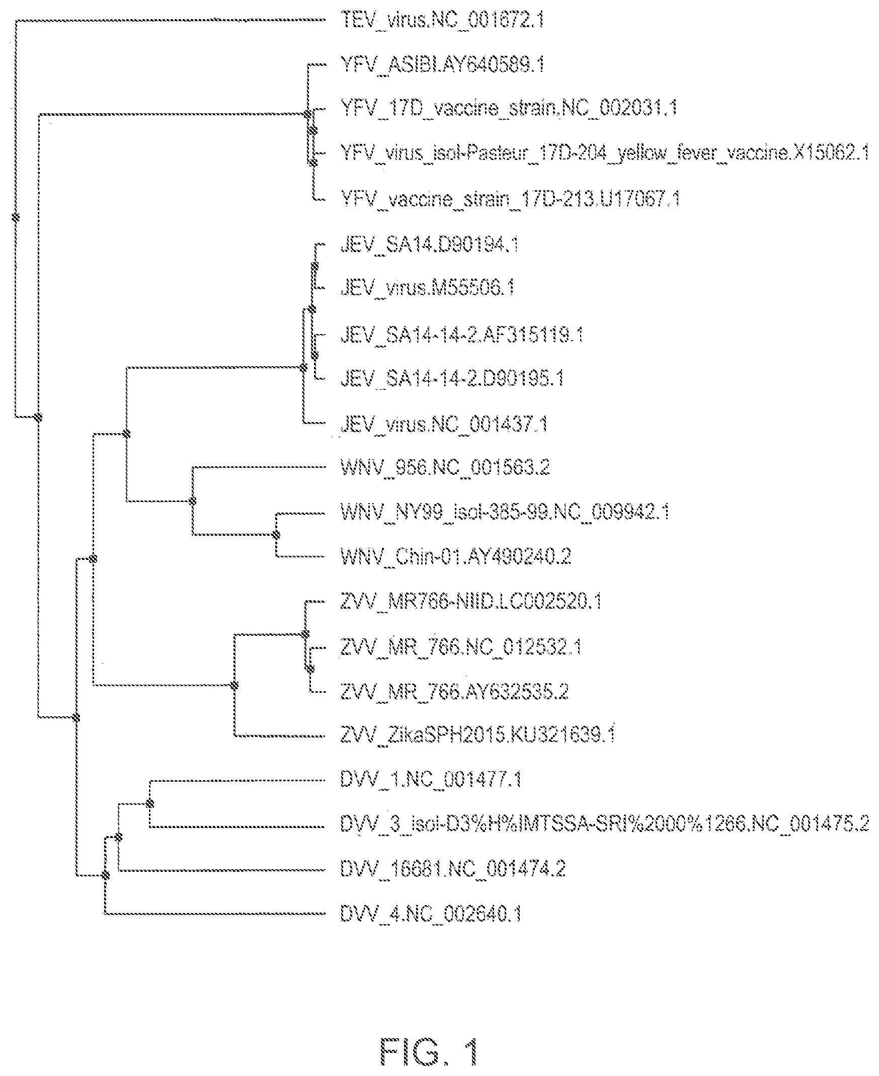 Patent US12102673 — Zika virus vaccine — Figure 1