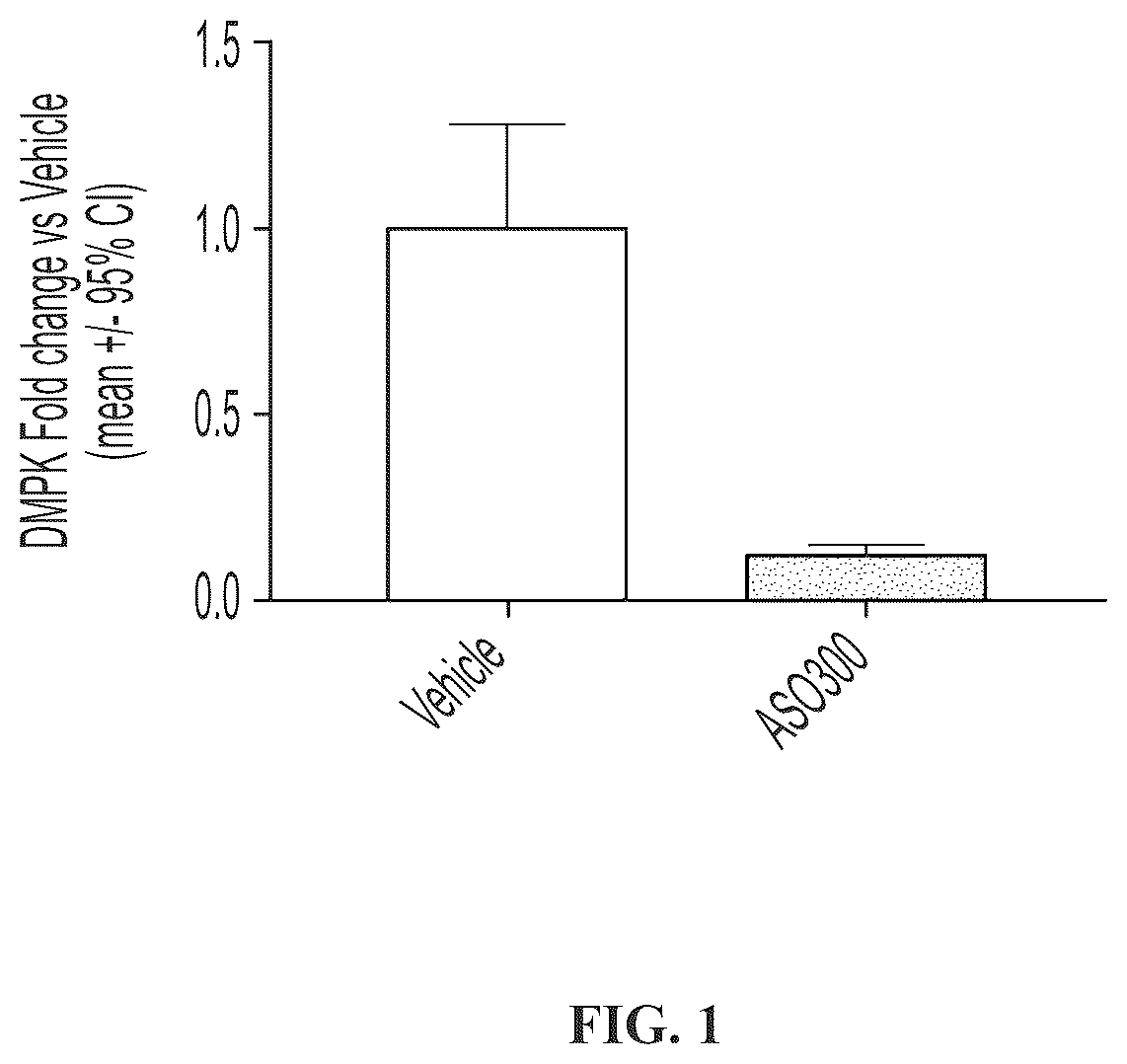 Patent US12102687 — Muscle targeting complexes and uses thereof for treating myotonic dystrophy — Figure 1