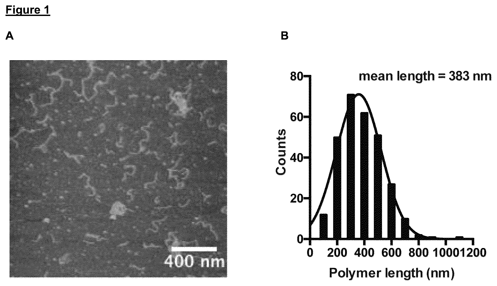 Patent US12102688 — Immunomodulatory nanofilaments — Figure 1