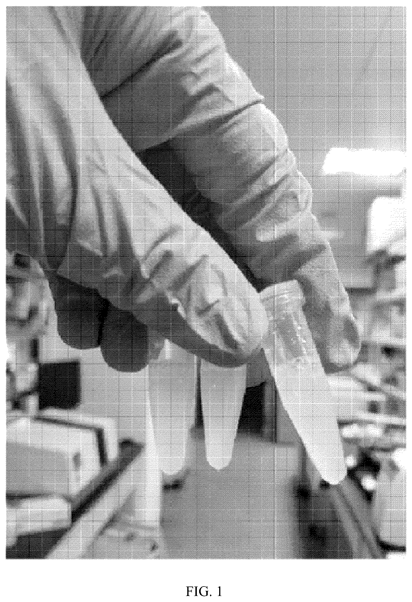 Patent US12102690 — Preparation method and application of biomimetic nano-protectant for detoxifying dox-induced cardiac and systemic toxicity — Figure 1