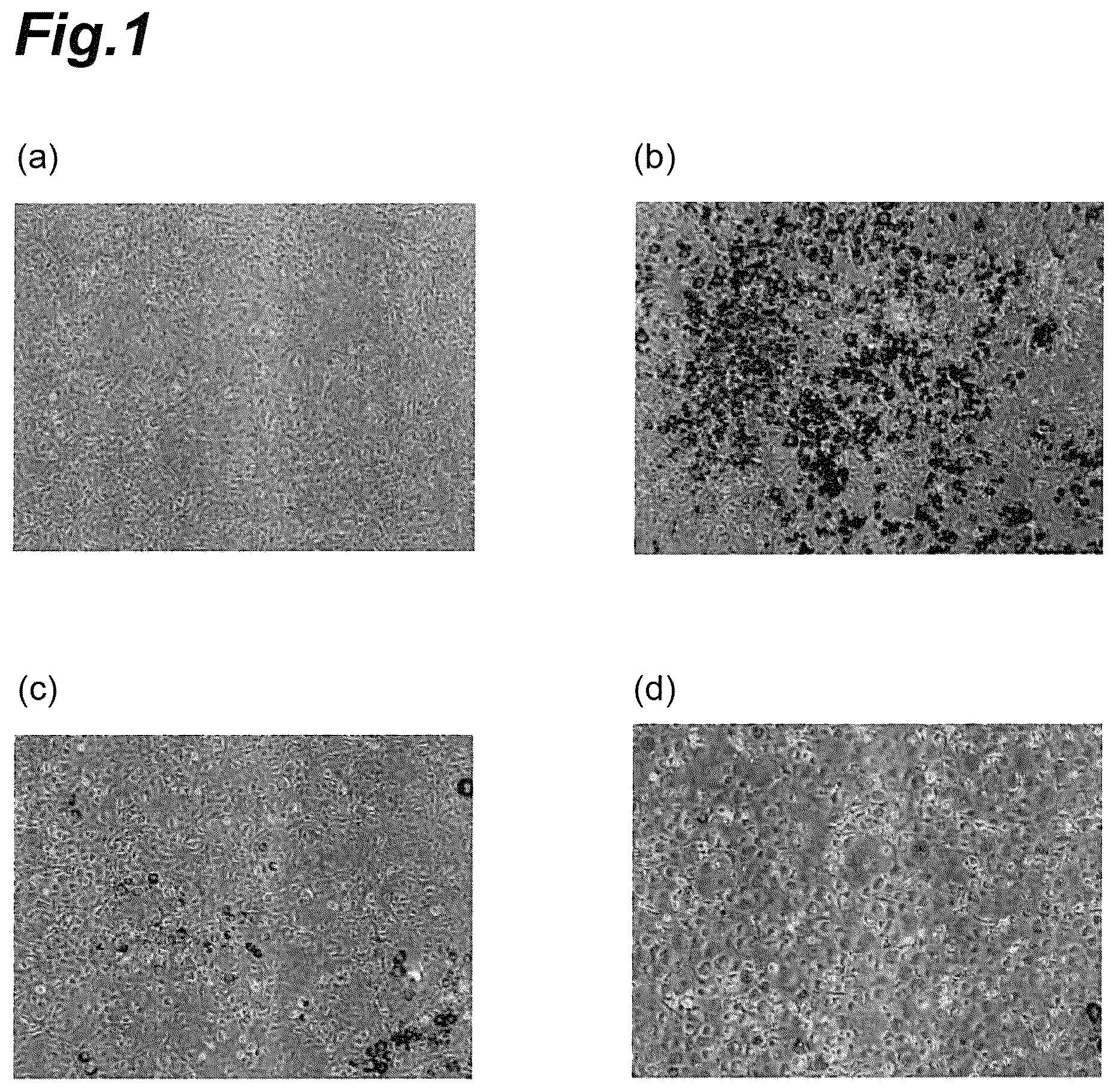 Patent US12102709 — Anti-obesity agent, anti-dementia agent, deodorant, anti-aging agent, anti-glycation agent, anti-type I allergy agent, hypotensive agent, flavor improving agent, muscle enhancing agent, and bone metabolism improving agent — Figure 1