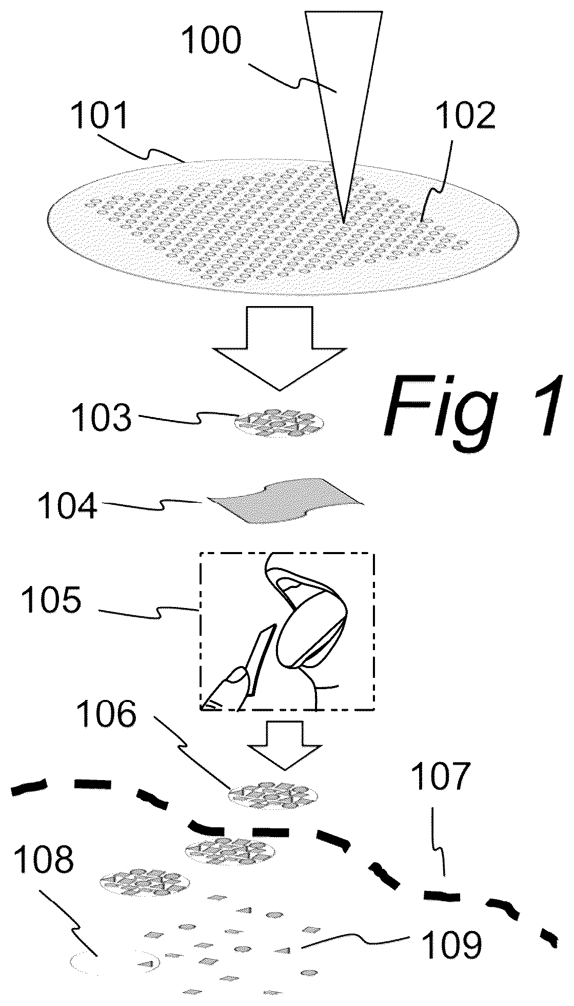 Patent US12102711 — Drug delivery systems and methods for making and using the same — Figure 1
