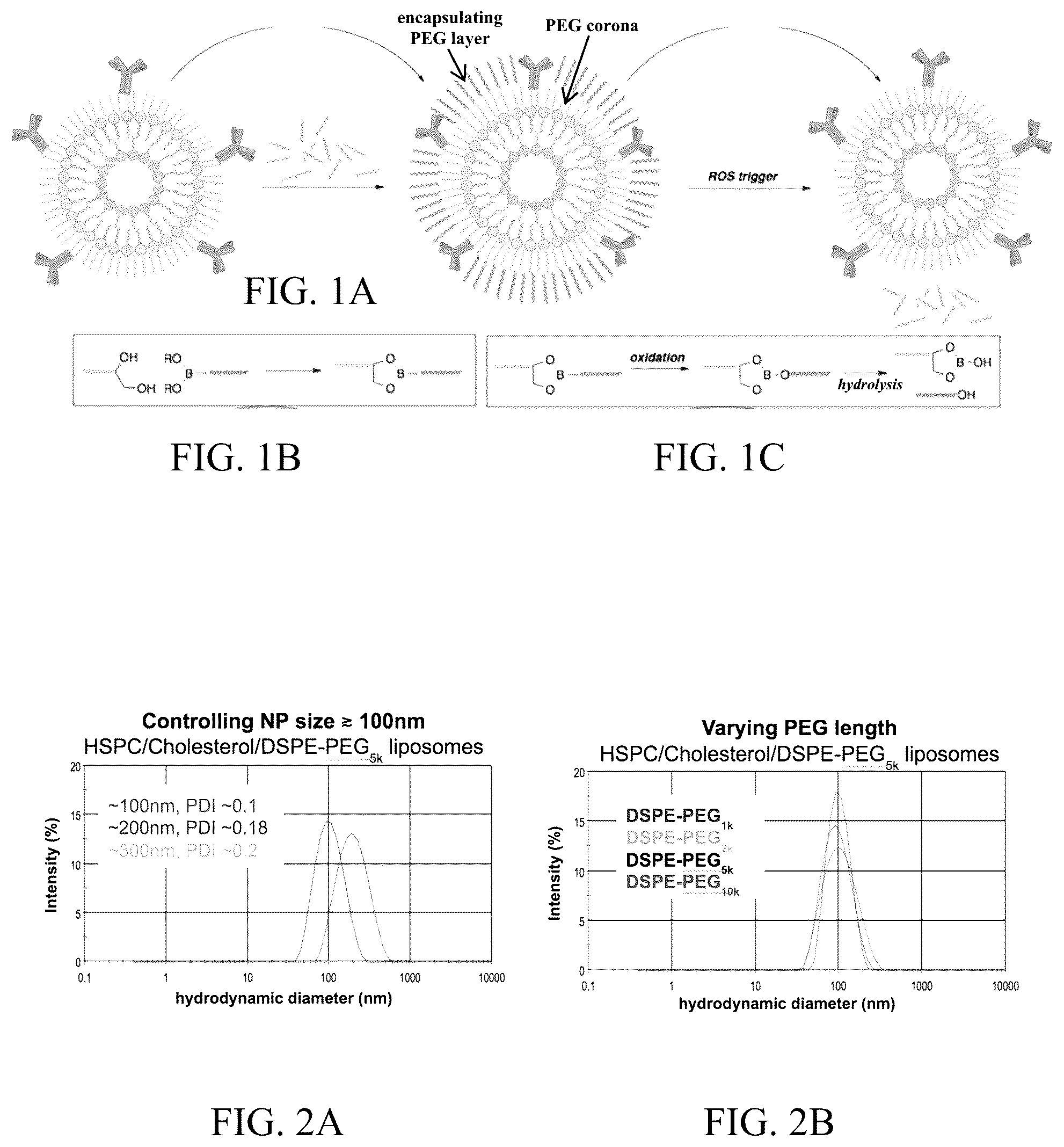 Patent US12102715 — ROS-responsive liposomes for specific targeting — Figure 1