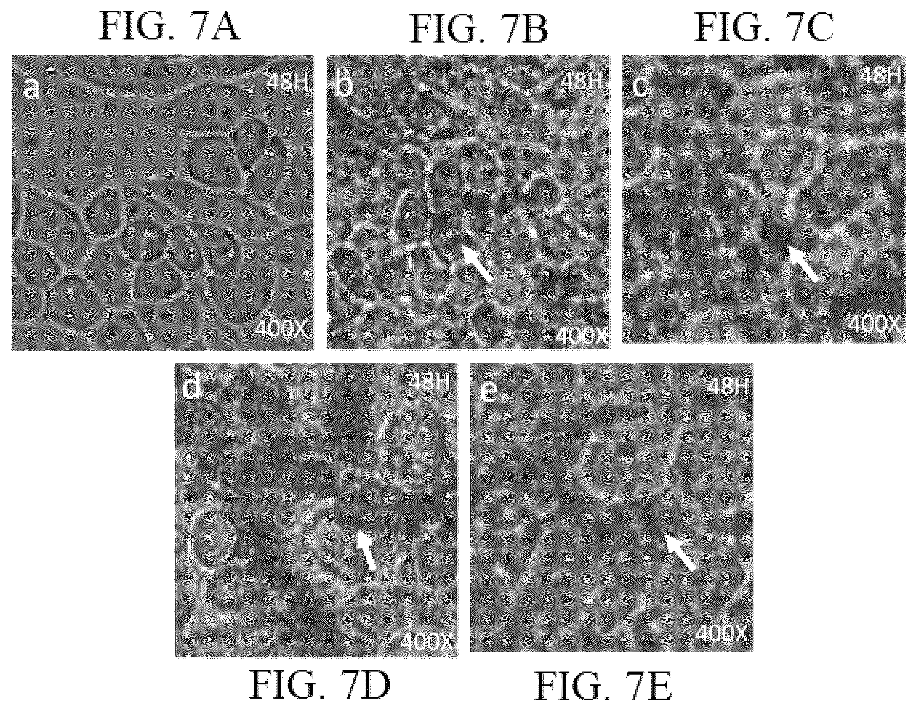 Patent US12102716 Figure 5 – Method for making solid silica spheres