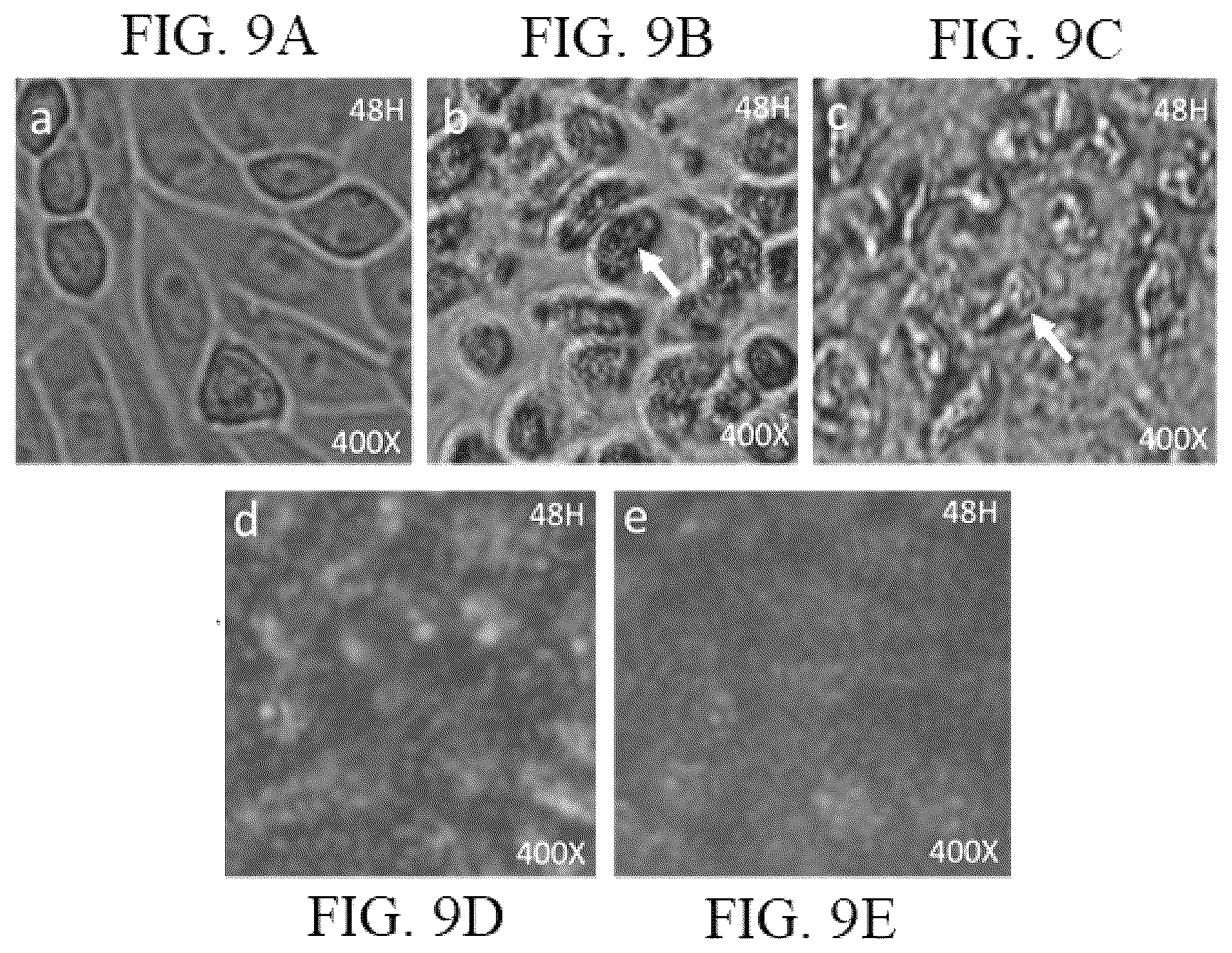 Patent US12102716 Figure 7 – Method for making solid silica spheres