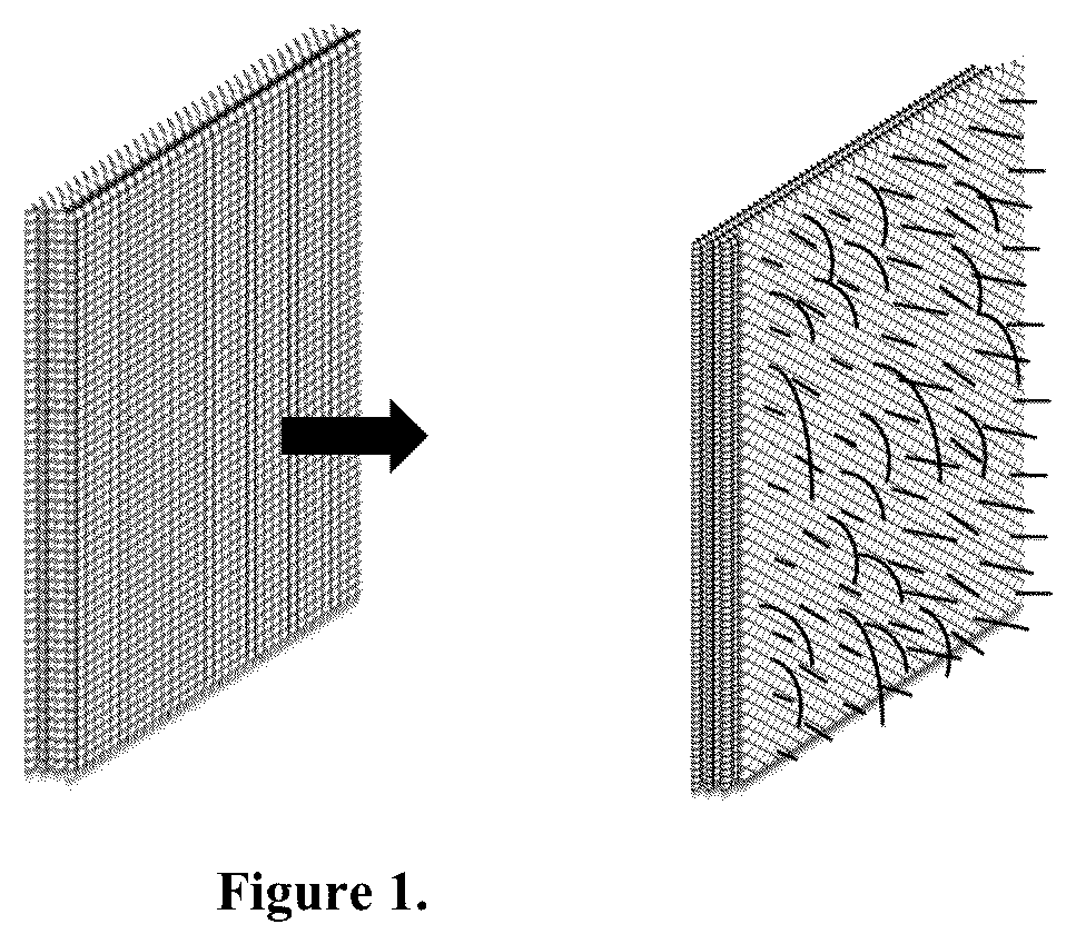 Patent US12102722 — Napped coated wound dressing — Figure 1