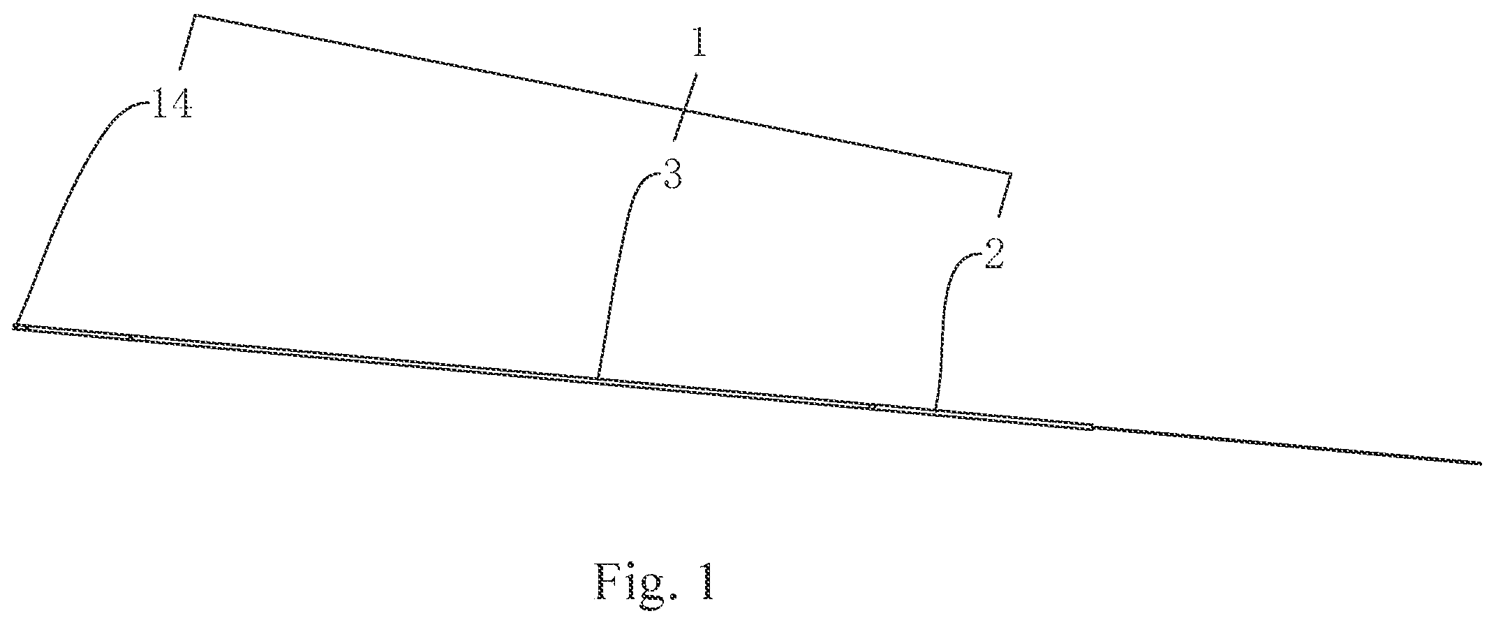 Patent US12102775 — Ureteral catheter structure — Figure 1