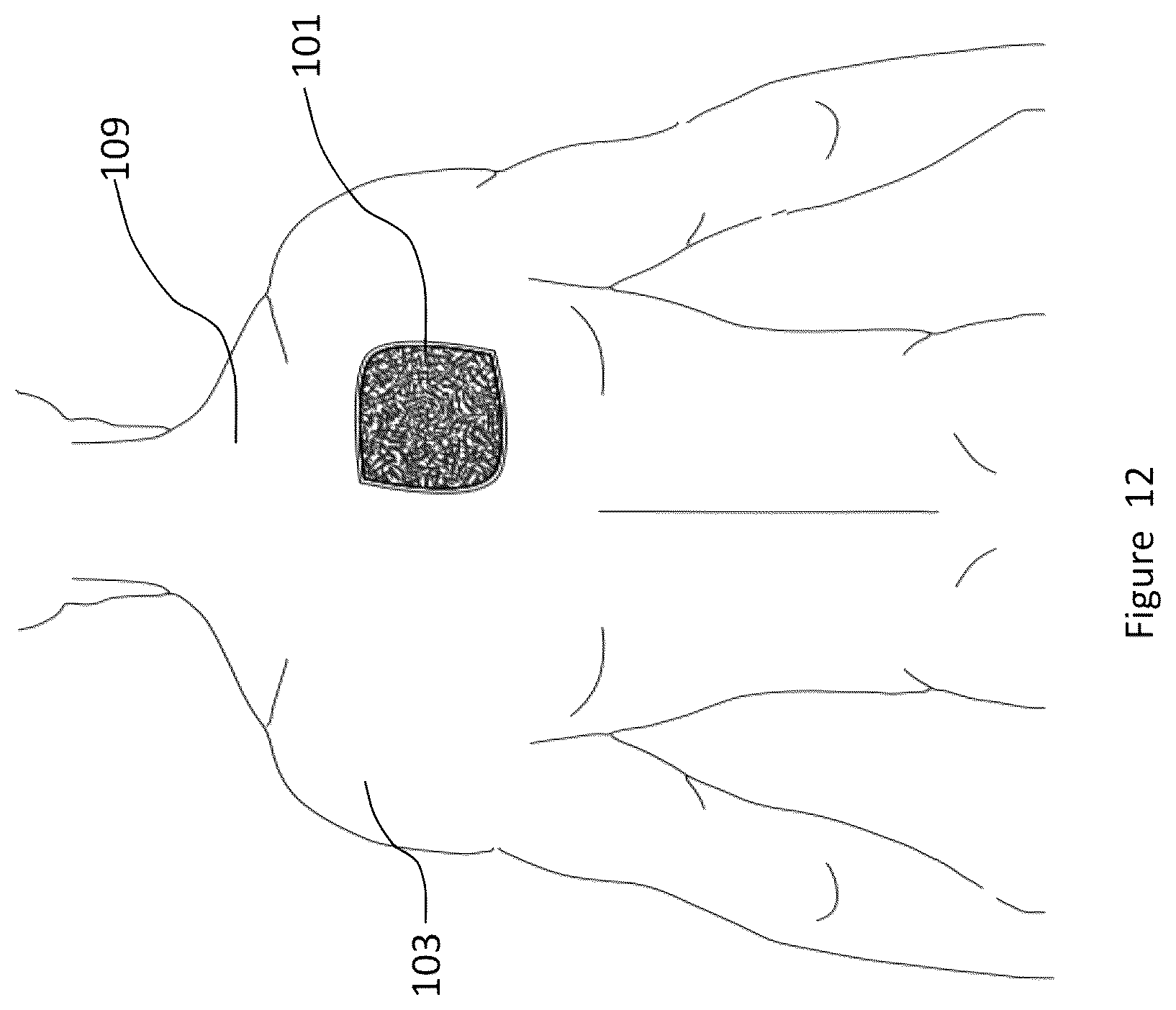 Patent US12102825 Figure 12 – Material and apparel that positively affect the health and wellbeing of a mammal
