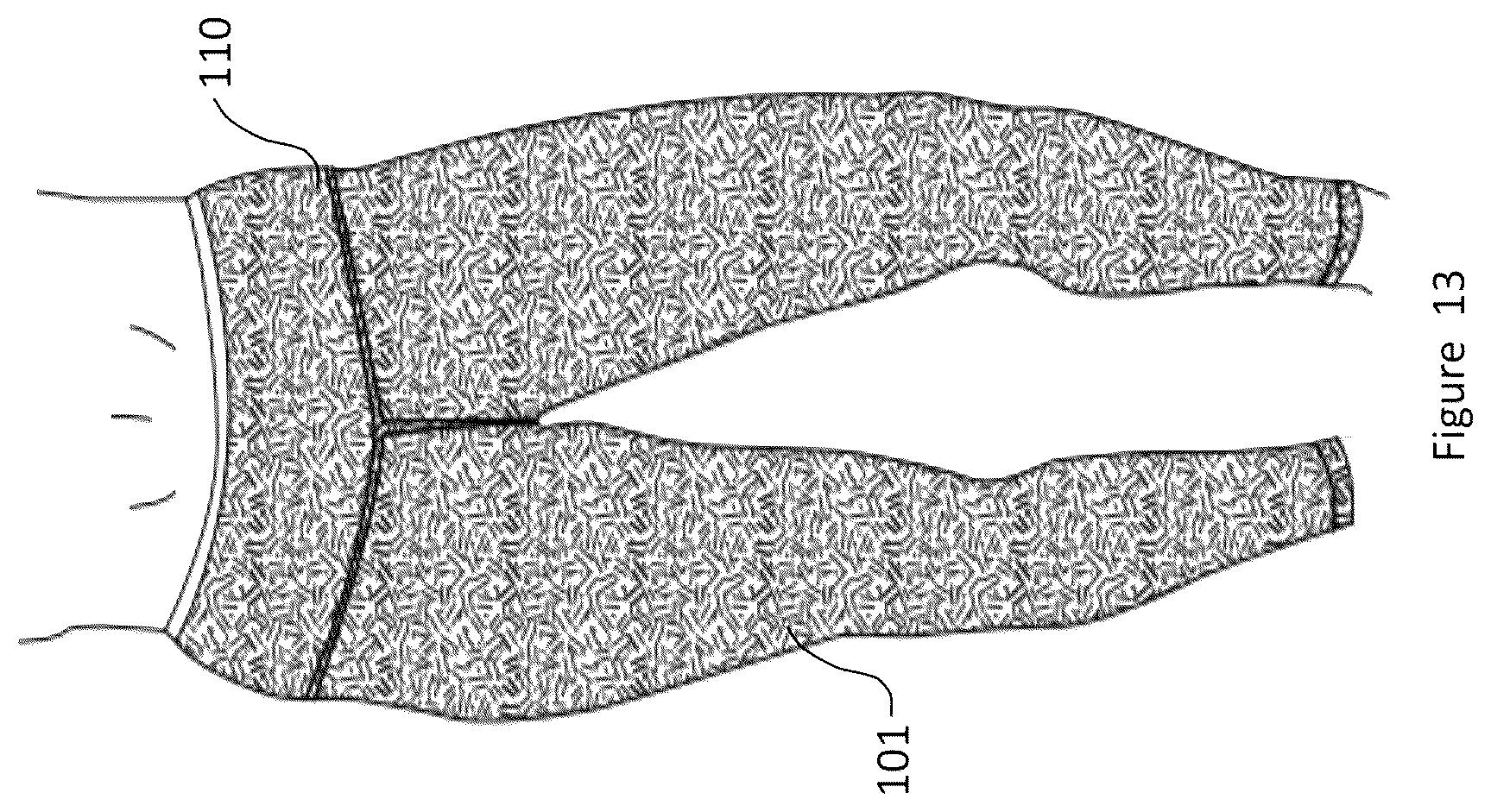 Patent US12102825 Figure 13 – Material and apparel that positively affect the health and wellbeing of a mammal