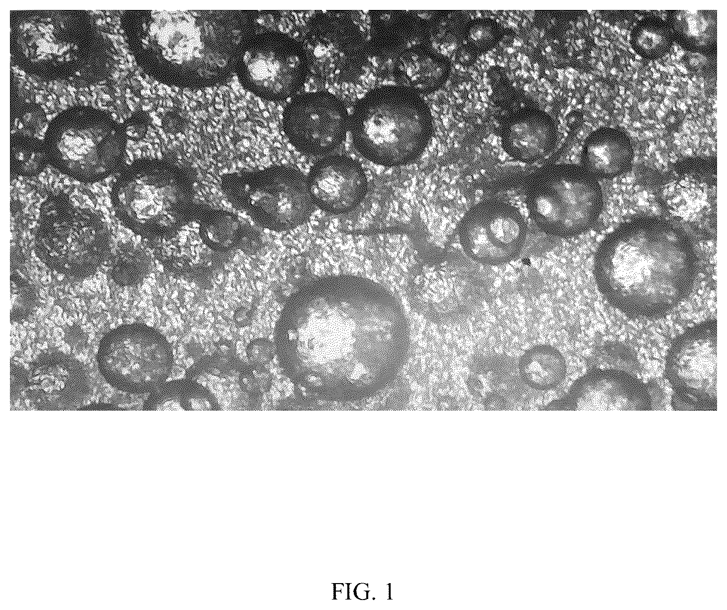 Patent US12102861 — Extinguishing material and preparation method thereof — Figure 1
