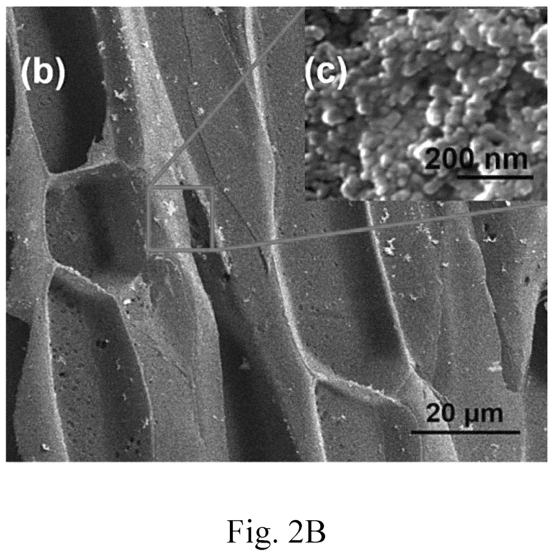 Patent US12102982 Figure 3 – Method for making natural material-supported palladium catalyst