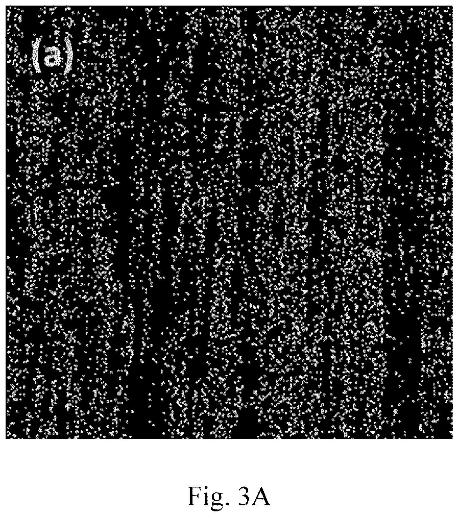 Patent US12102983 Figure 5 – Method for making an unmodified jute supported catalyst