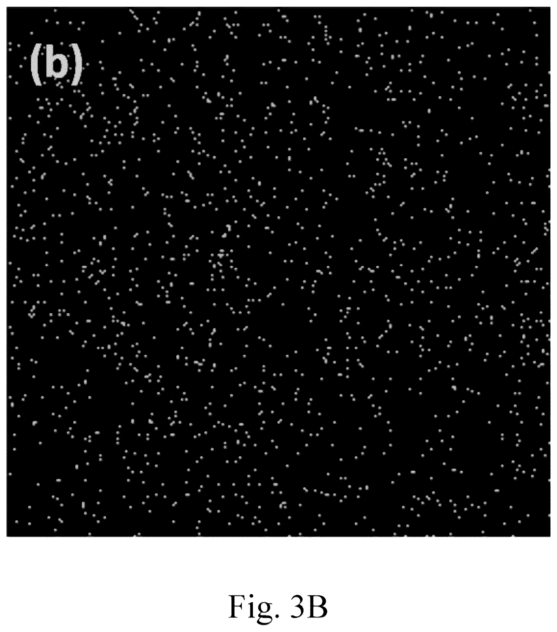 Patent US12102984 Figure 6 – Green method for preparing jute stem-supported catalyst