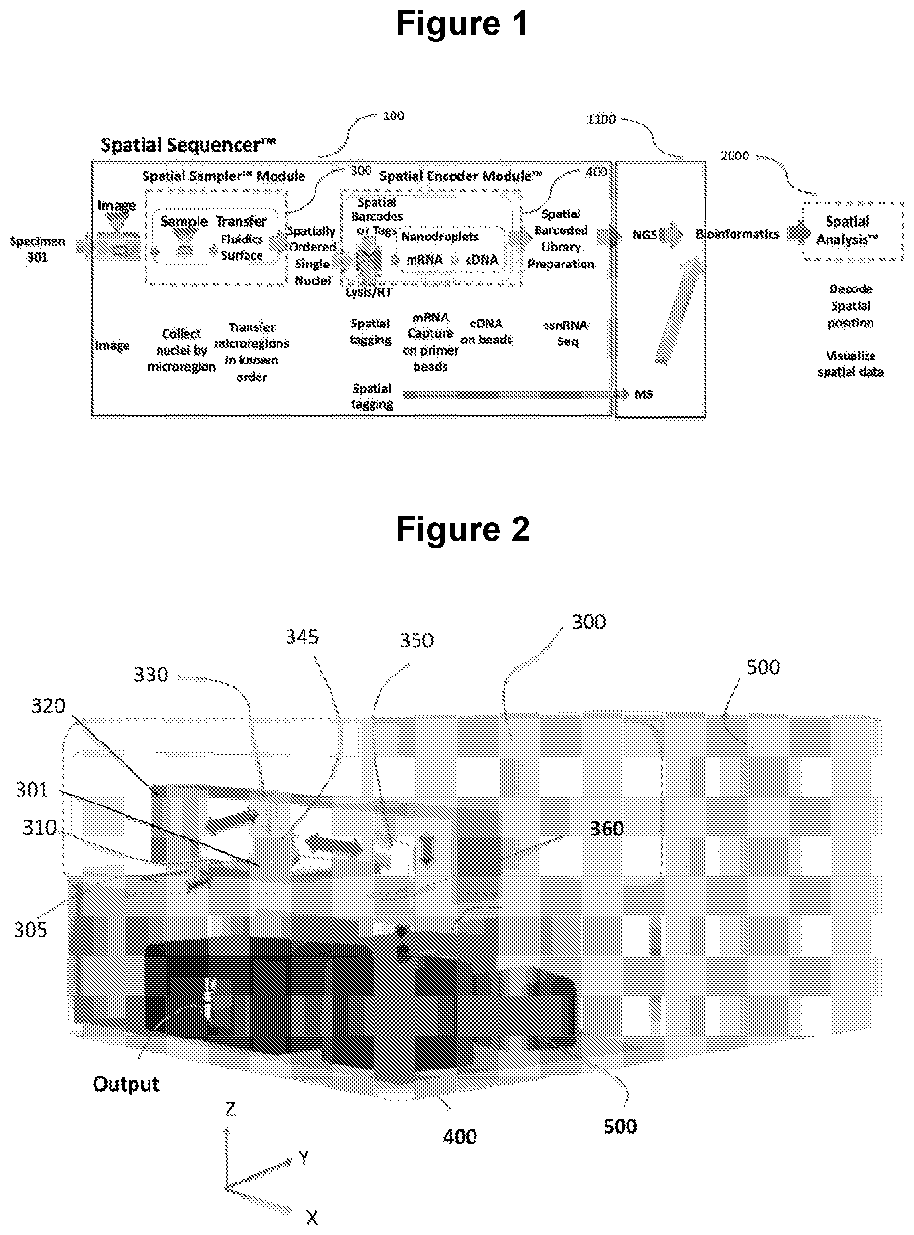 Patent US12103004 — Method and apparatus for processing tissue and other samples encoding cellular spatial position information — Figure 1