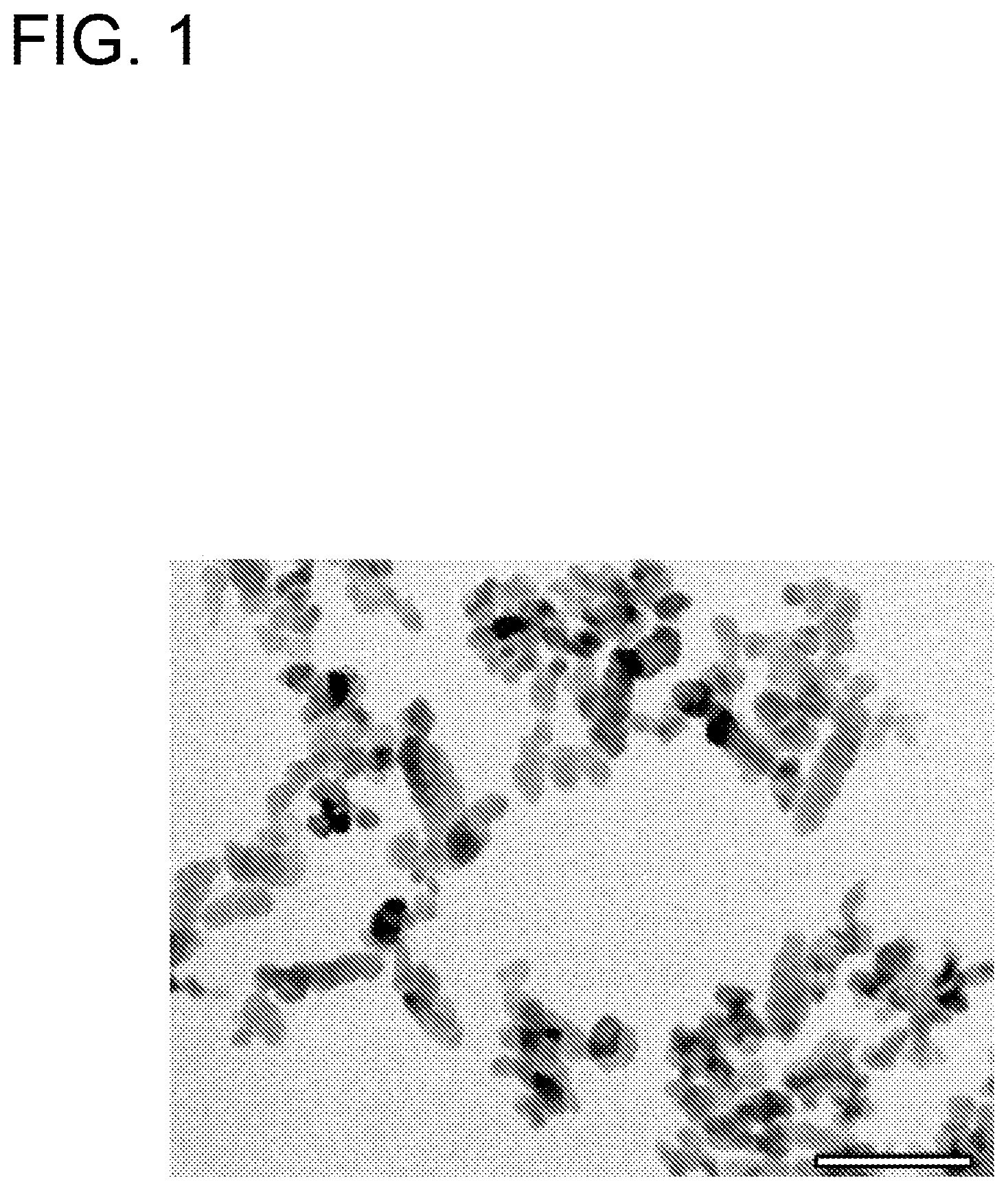 Patent US12103859 Figure 1 – Calcium carbonate with controlled particle morphology, method for producing the same, and crystal growth method