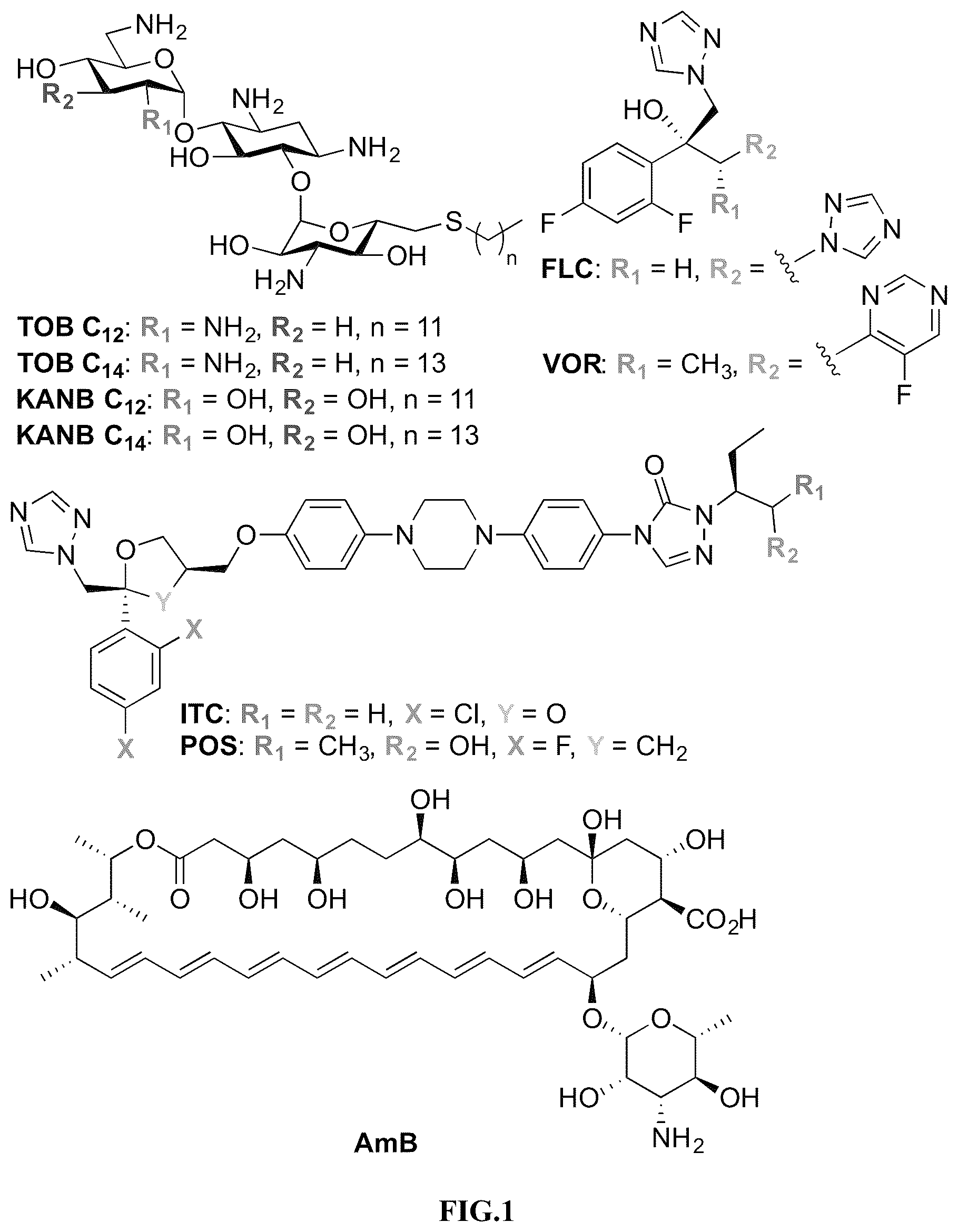 Patent US12103916 — Antifungal compounds — Figure 1