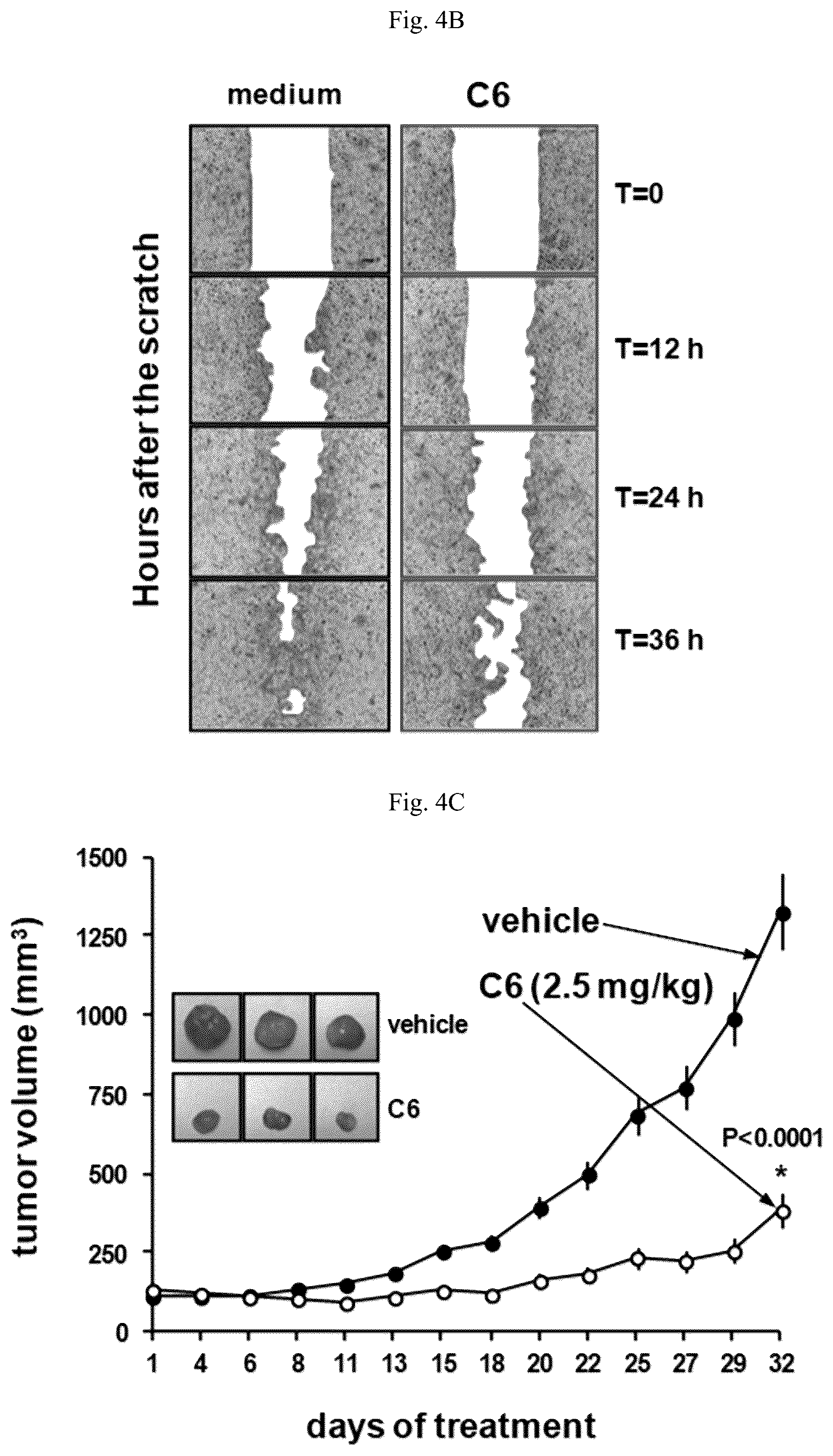 Patent US12103940 Figure 12 – Cytotoxicity assay composition and gold (III) complex