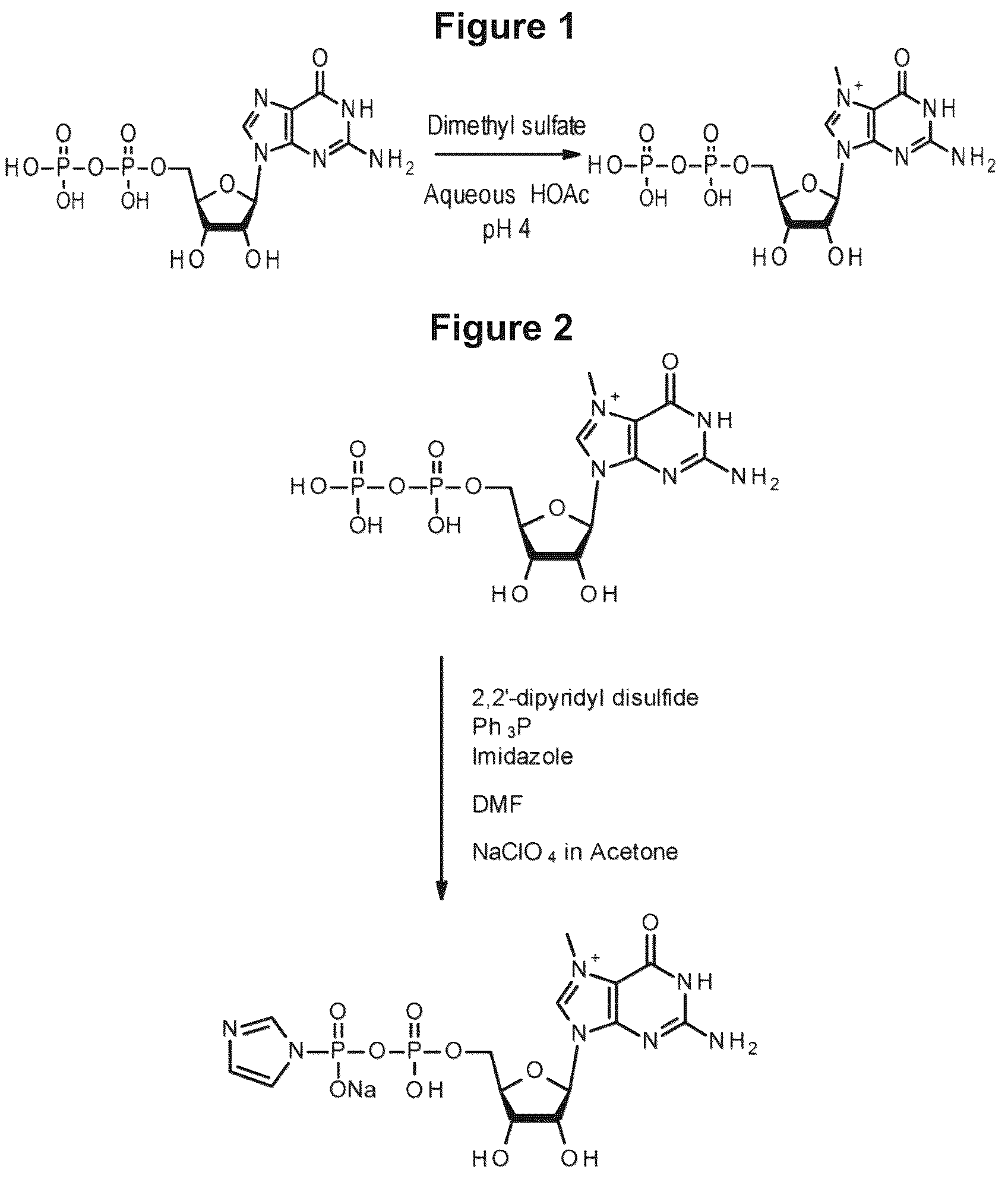 Patent US12103944 — Compositions and methods for synthesizing 5′-capped RNAs — Figure 1
